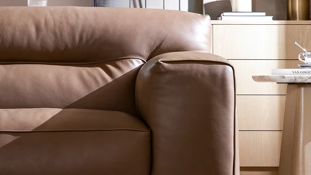 Диван NATUZZI ITALIA Dorian