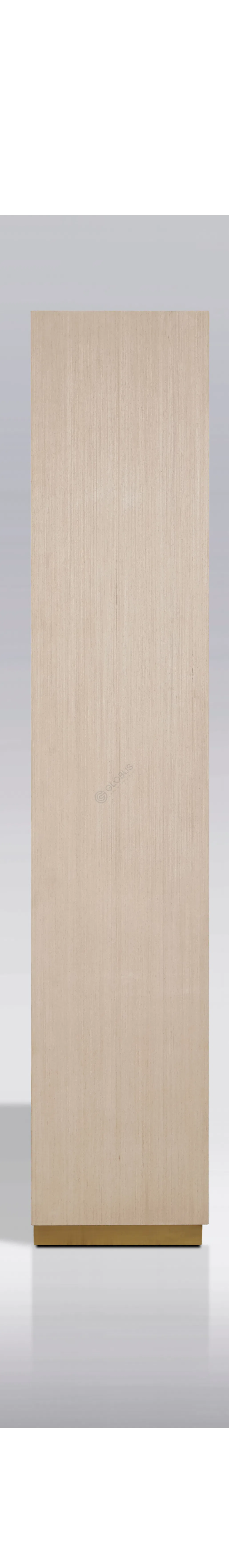 Книжный шкаф Euclio