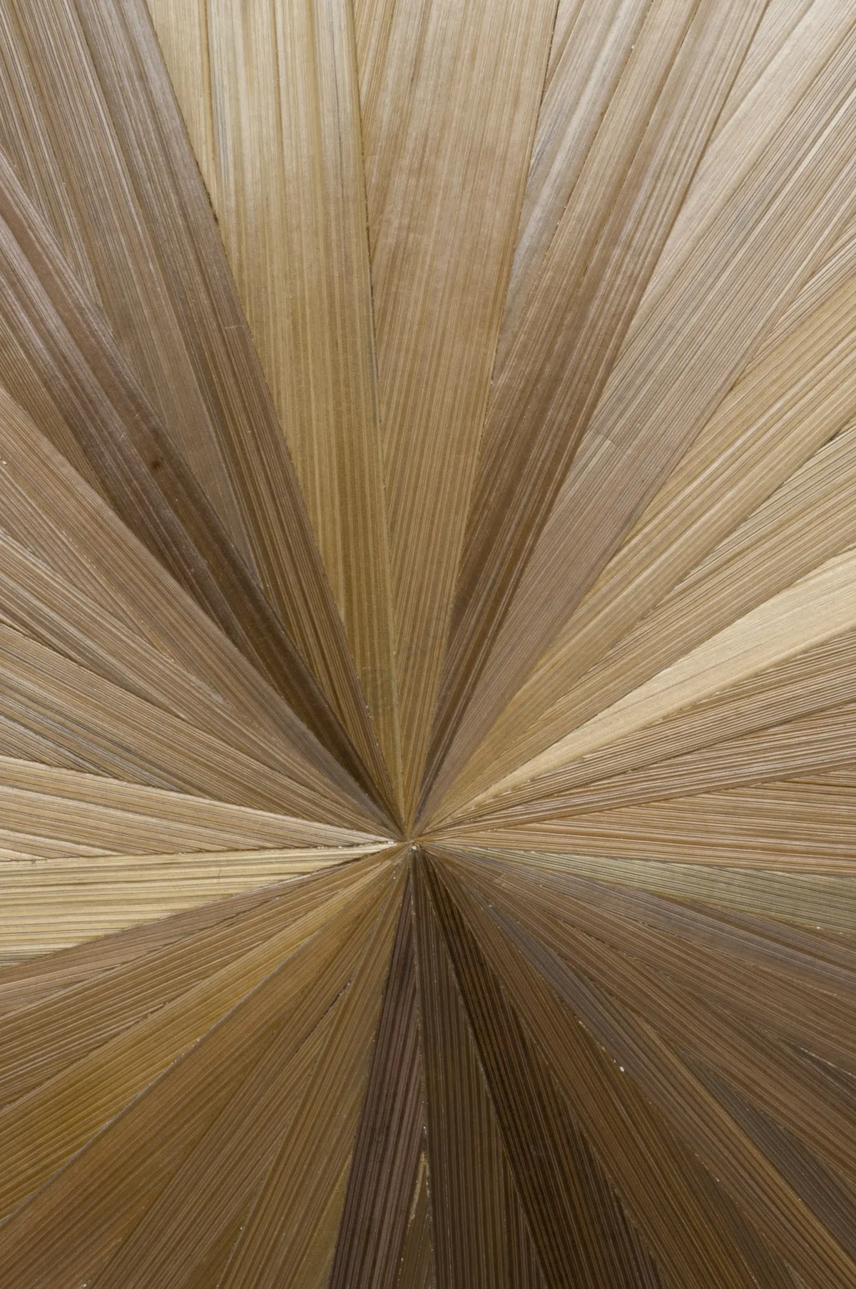 Настенная панель Solegio