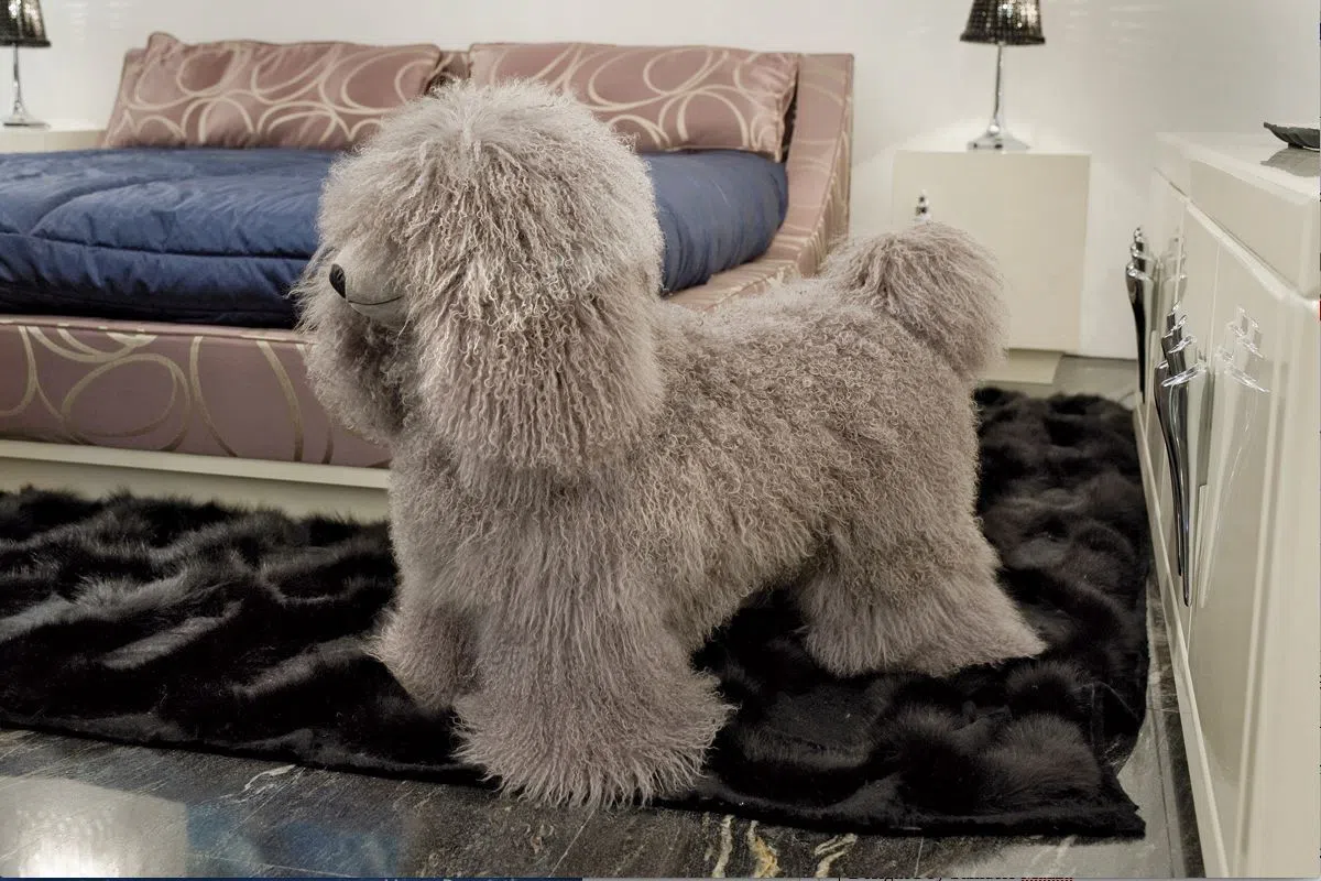 Пуф VISIONNAIRE Klipper