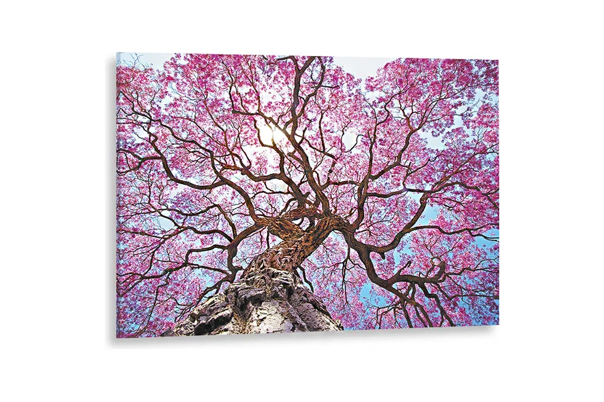 Картина Lutolio