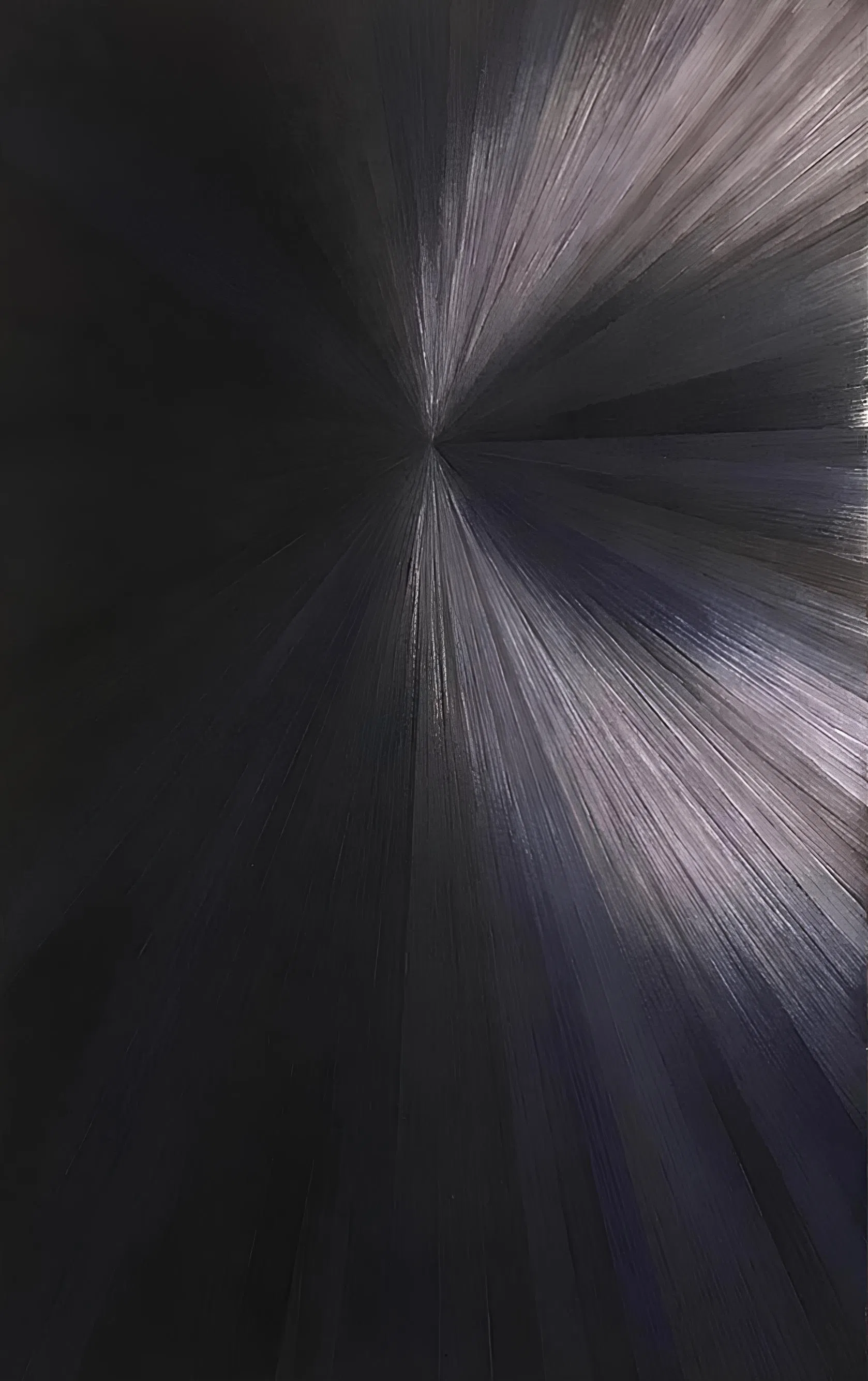 Настенная панель Erafin