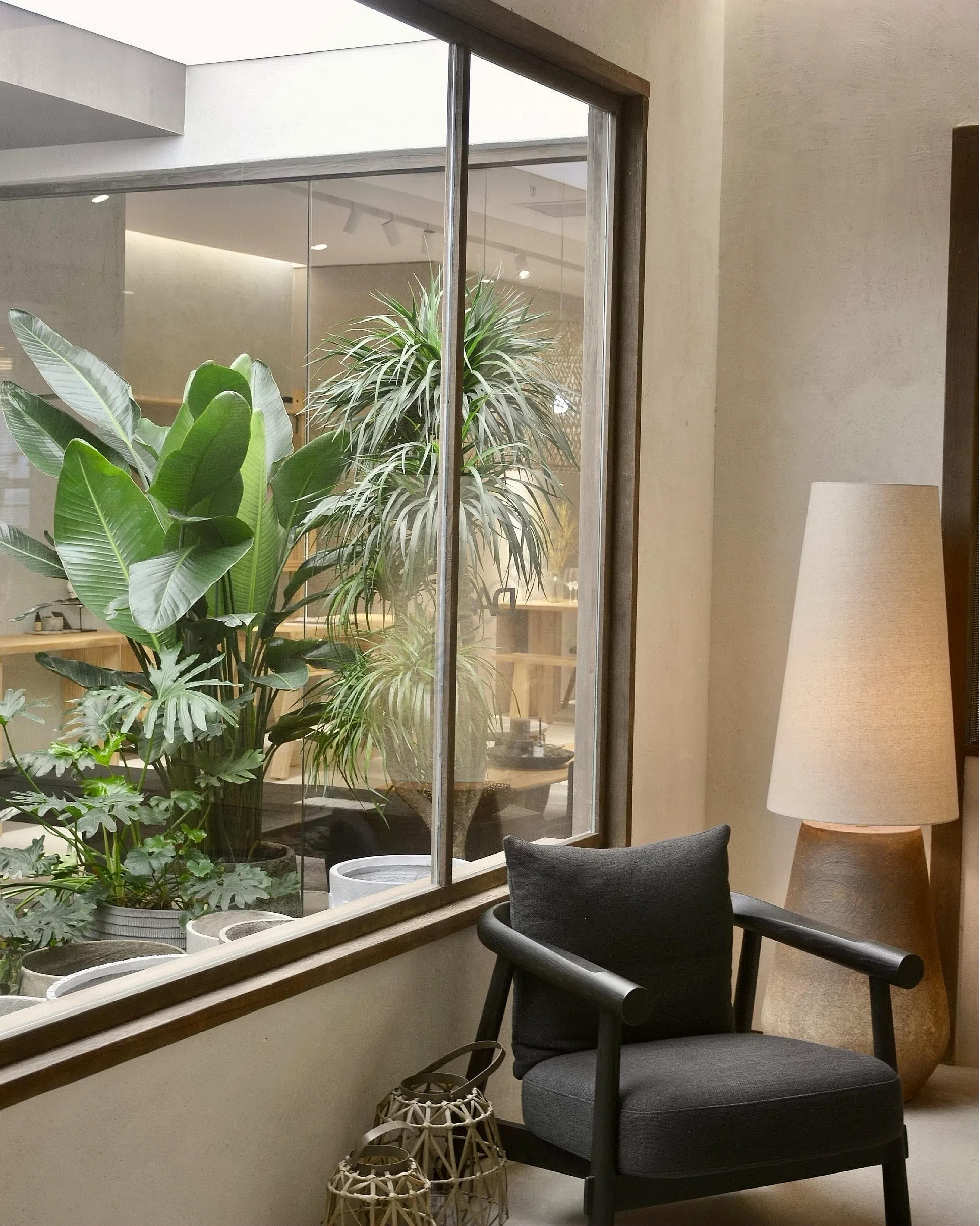 Кресло Trasasi