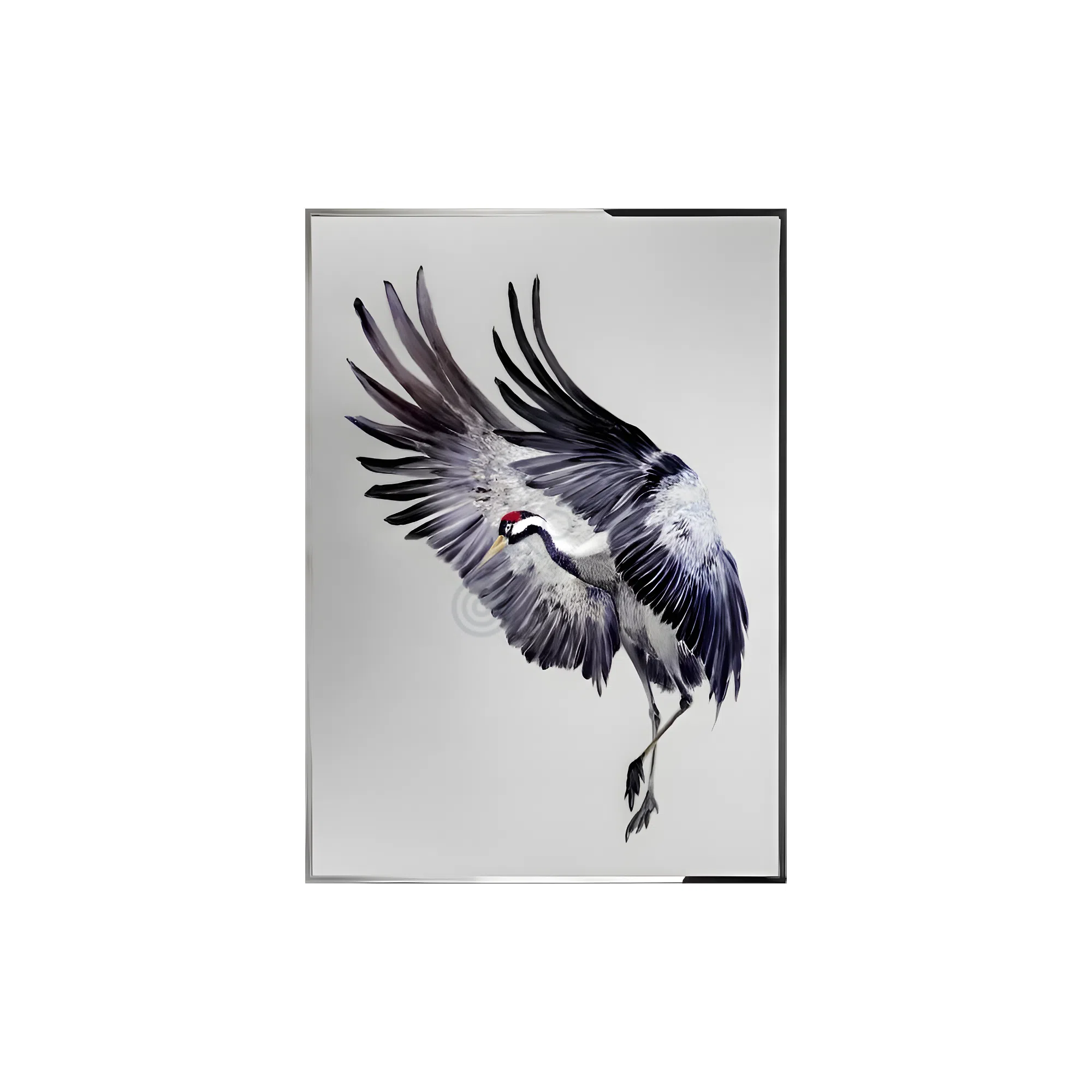 Картина VISIONNAIRE Airone Black