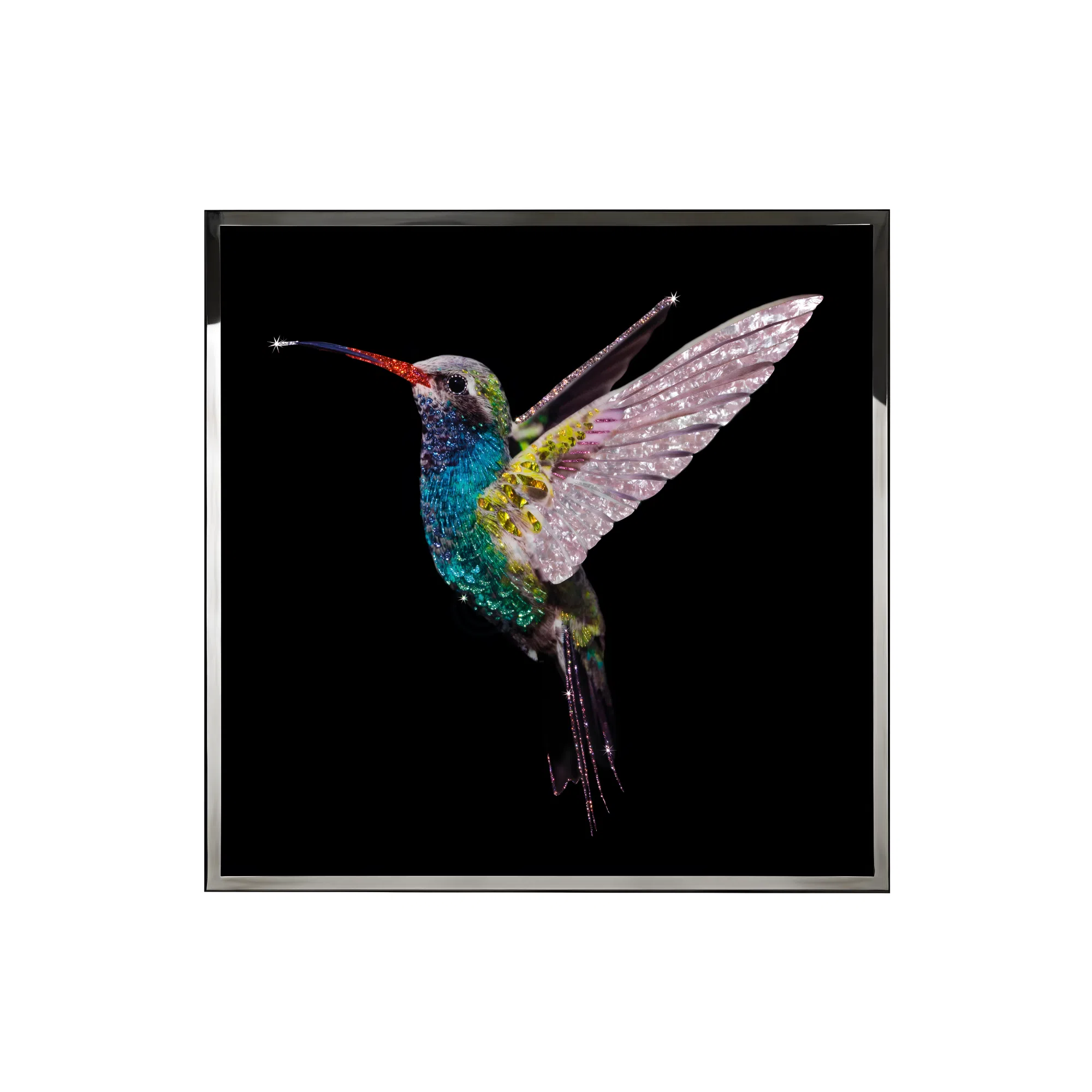 Картина VISIONNAIRE COLIBRI BIG
