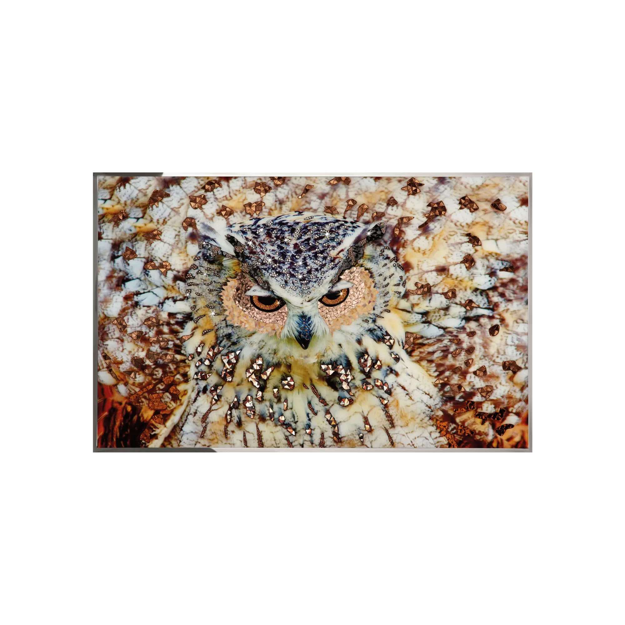 Картина VISIONNAIRE Gufo
