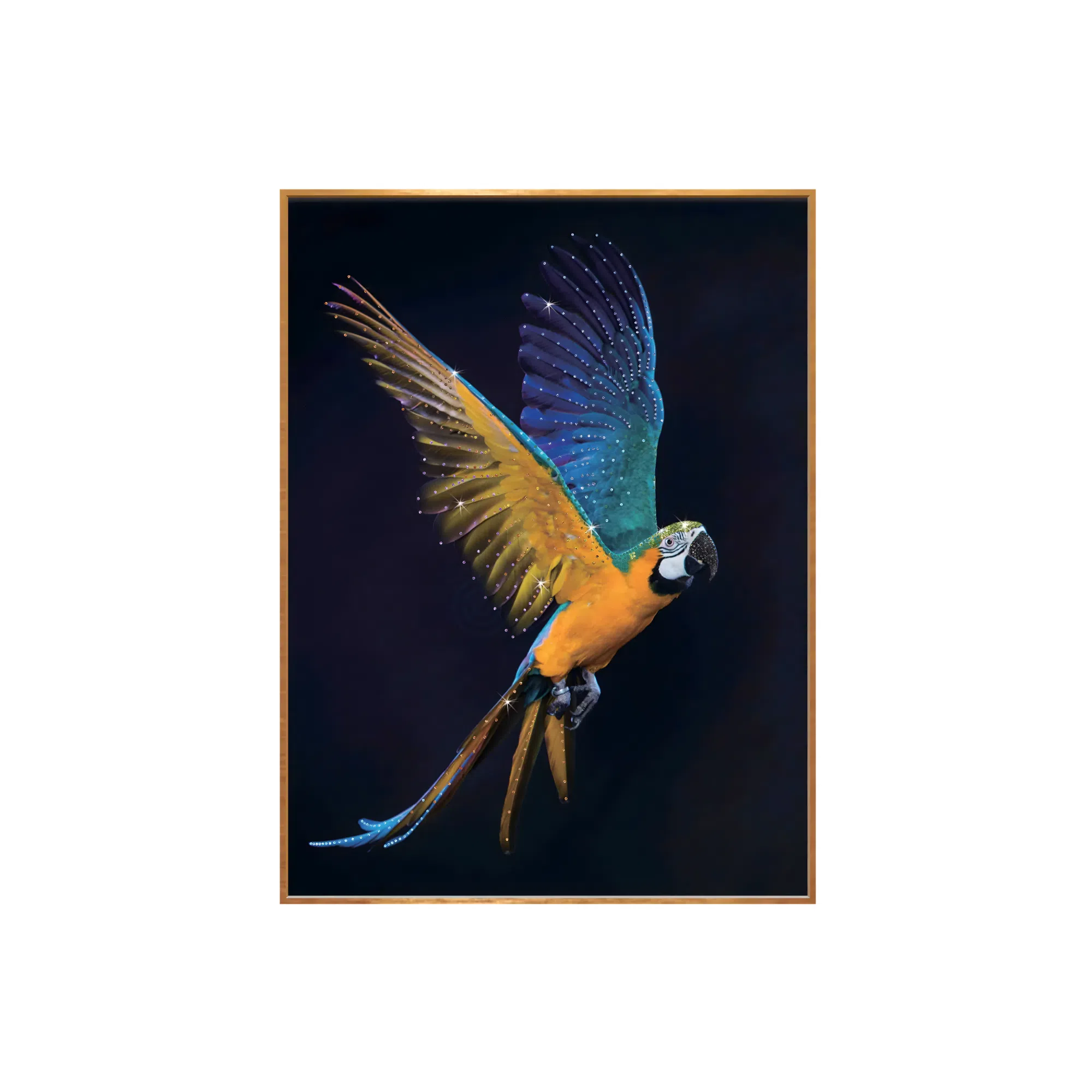 Картина Fricoso