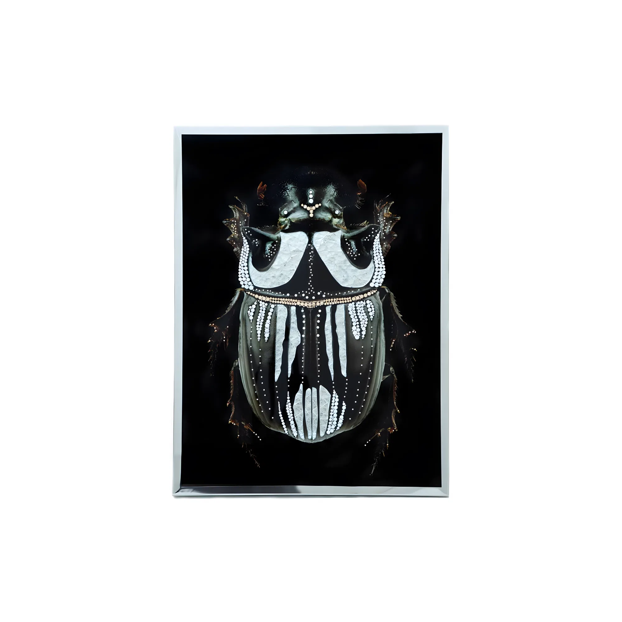 Картина VISIONNAIRE Coleottero Nero