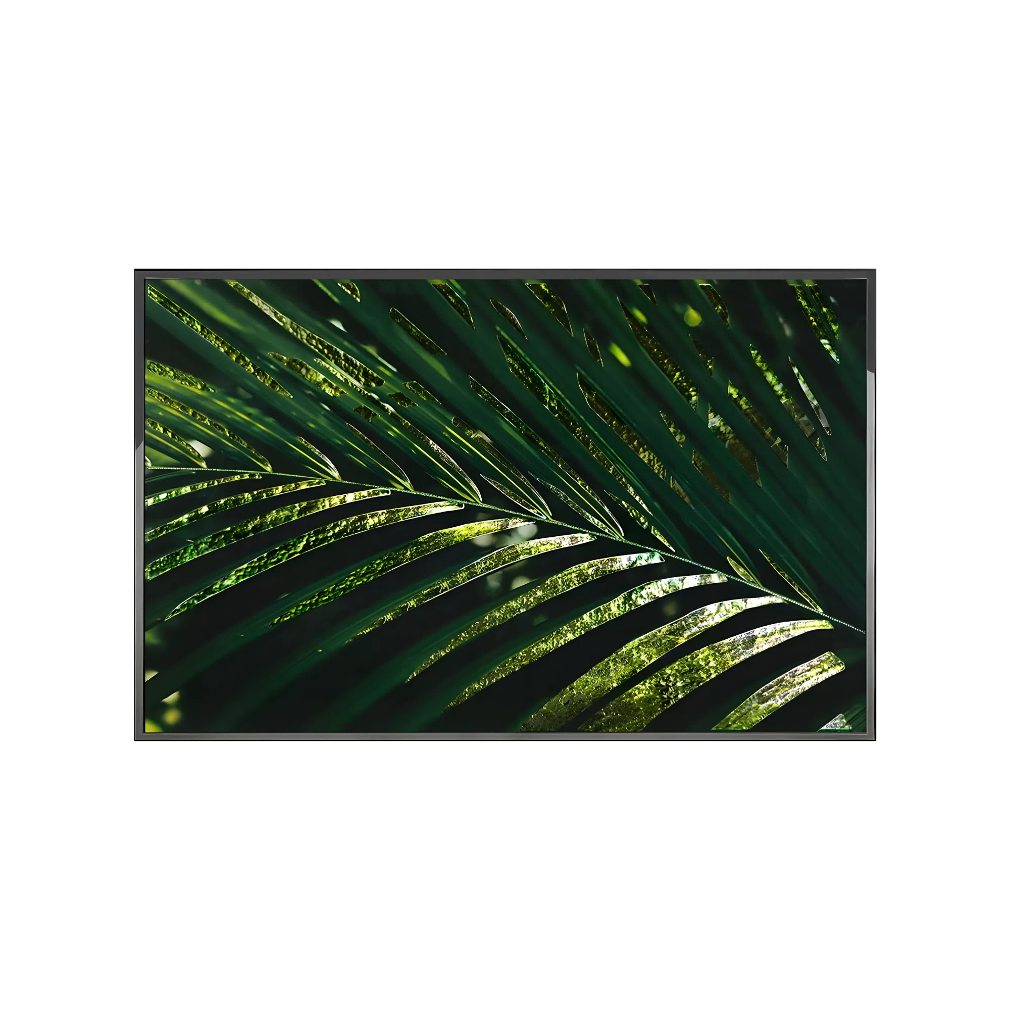 Картина VISIONNAIRE Kentia