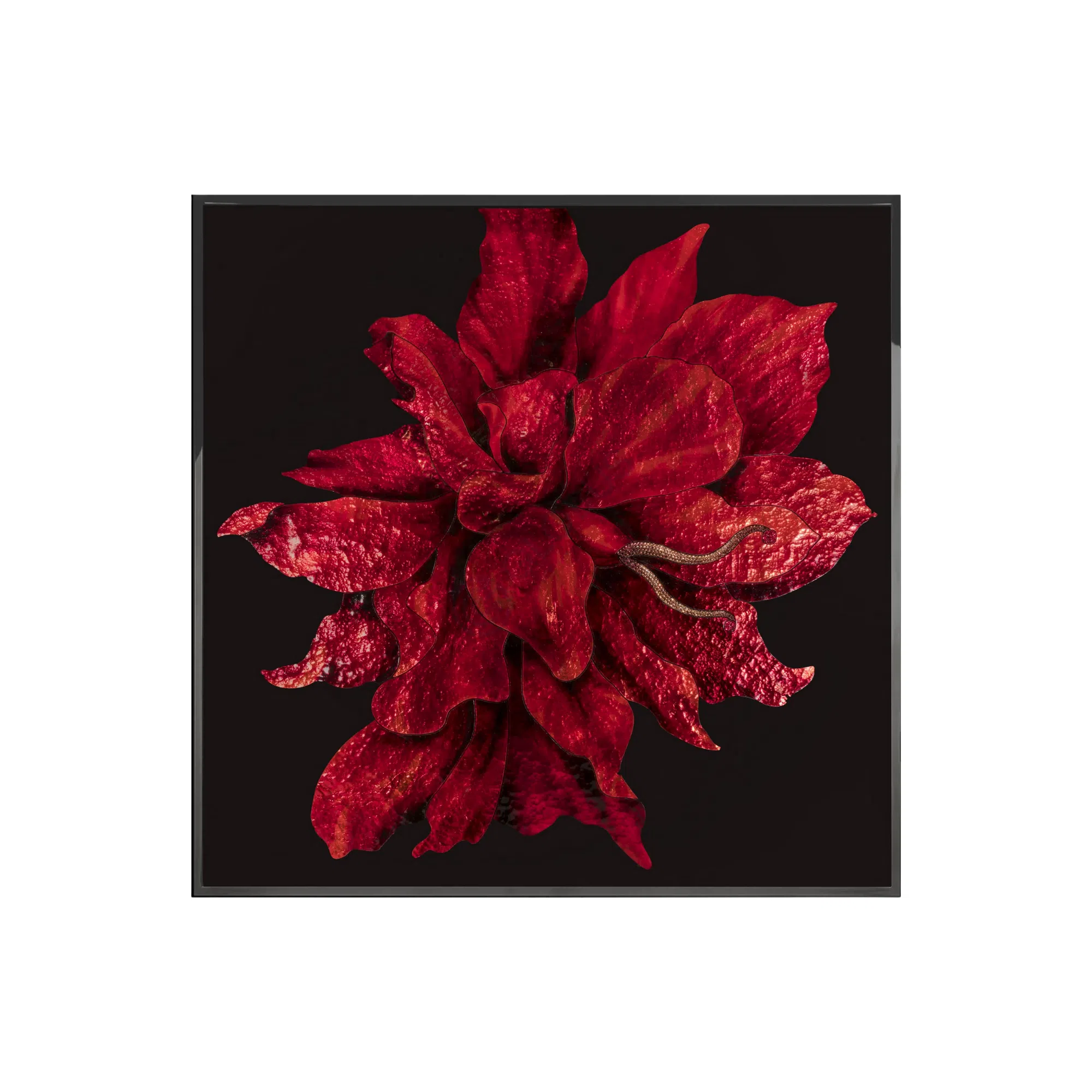 Картина VISIONNAIRE Red Flower