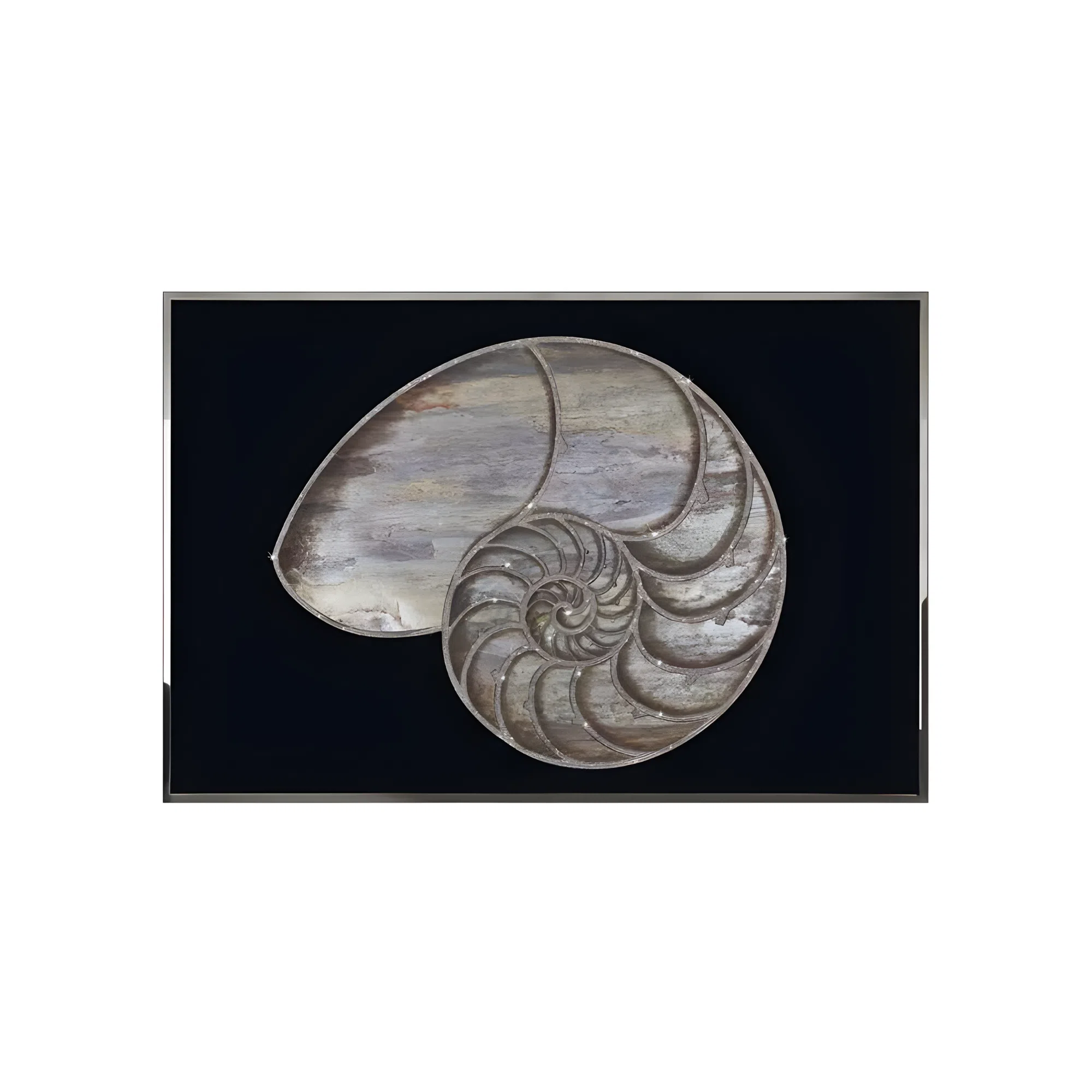 Картина VISIONNAIRE Nautilus