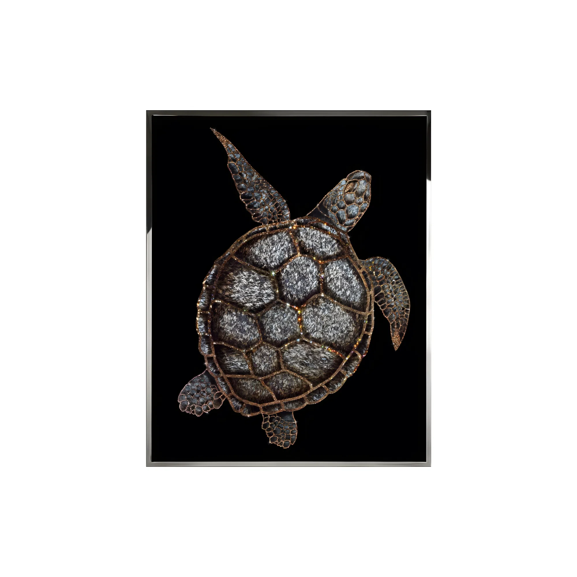 Картина VISIONNAIRE Tartaruga