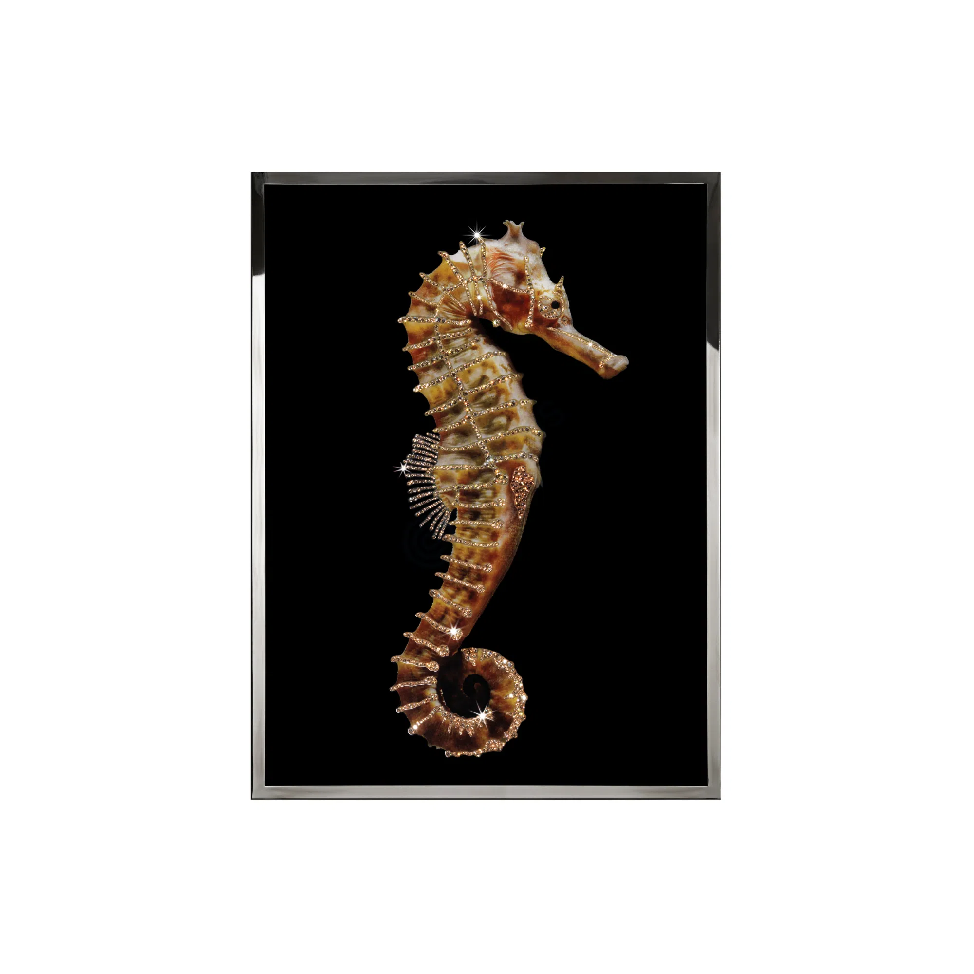 Картина VISIONNAIRE Hippocampus