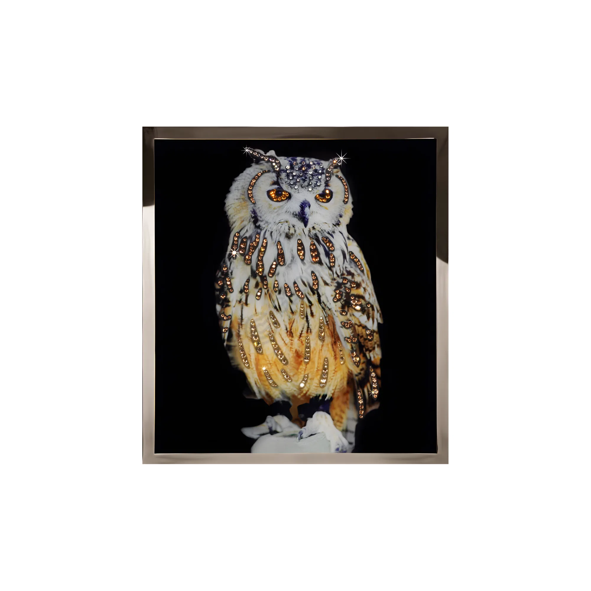 Картина VISIONNAIRE Gufo Mini