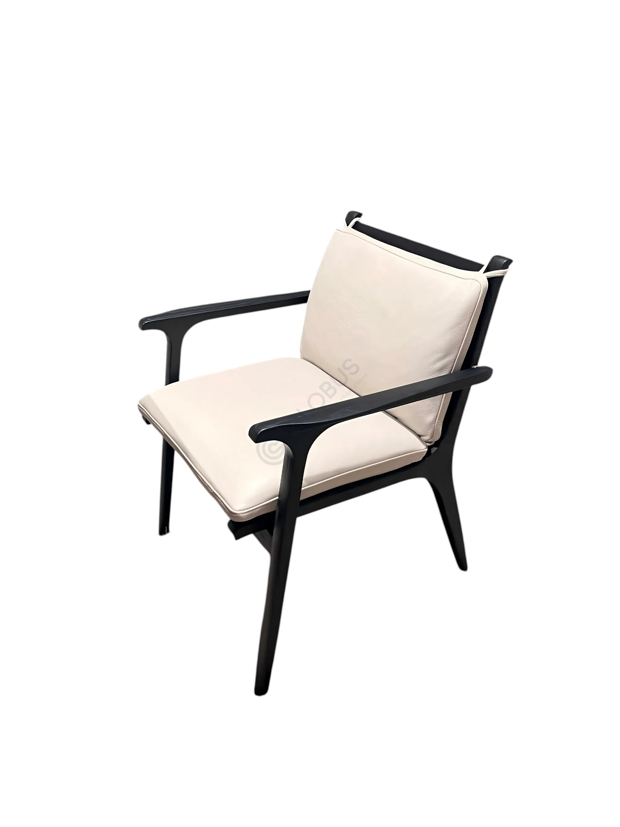 Обеденный стул Iridescenti