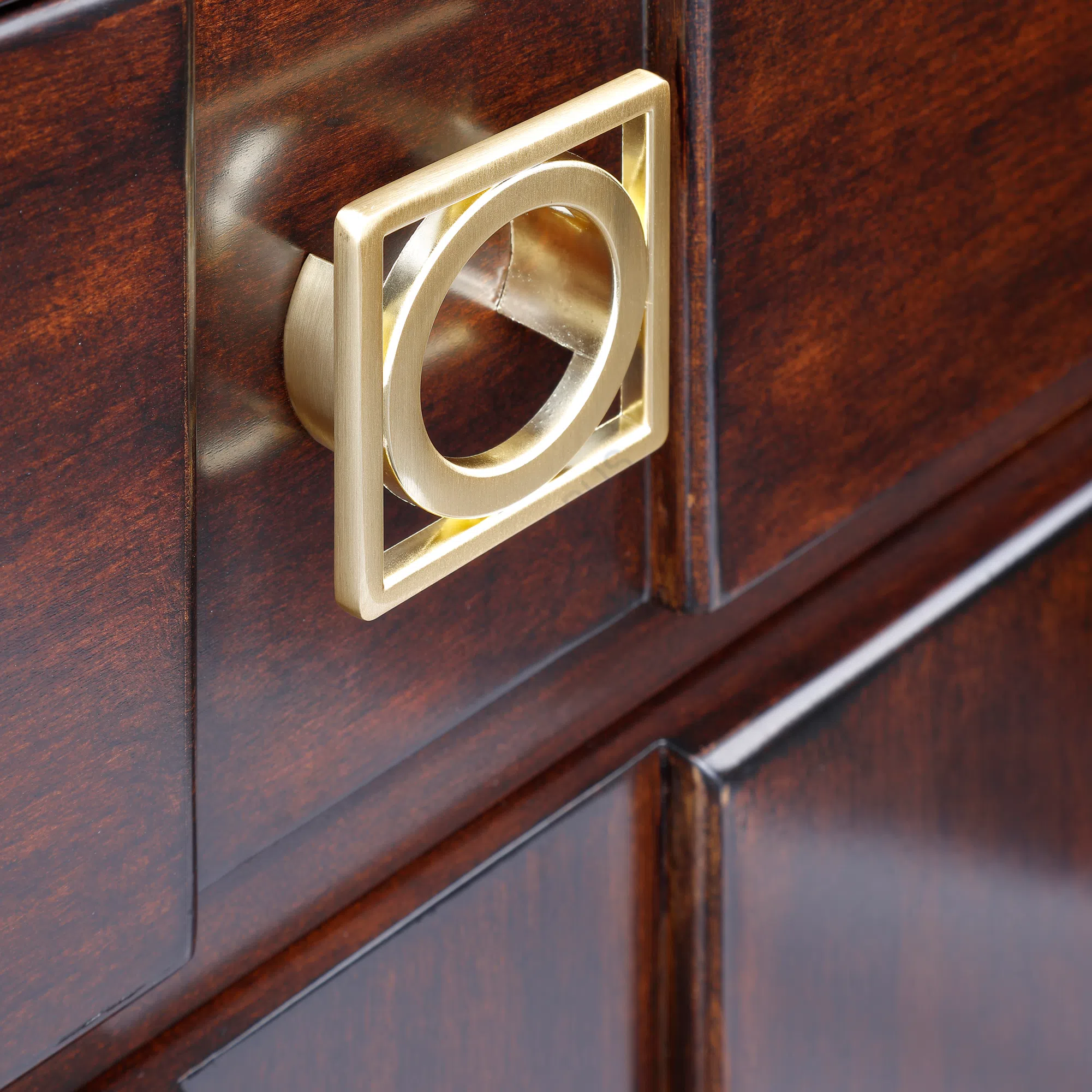 Книжный шкаф Hesperellia