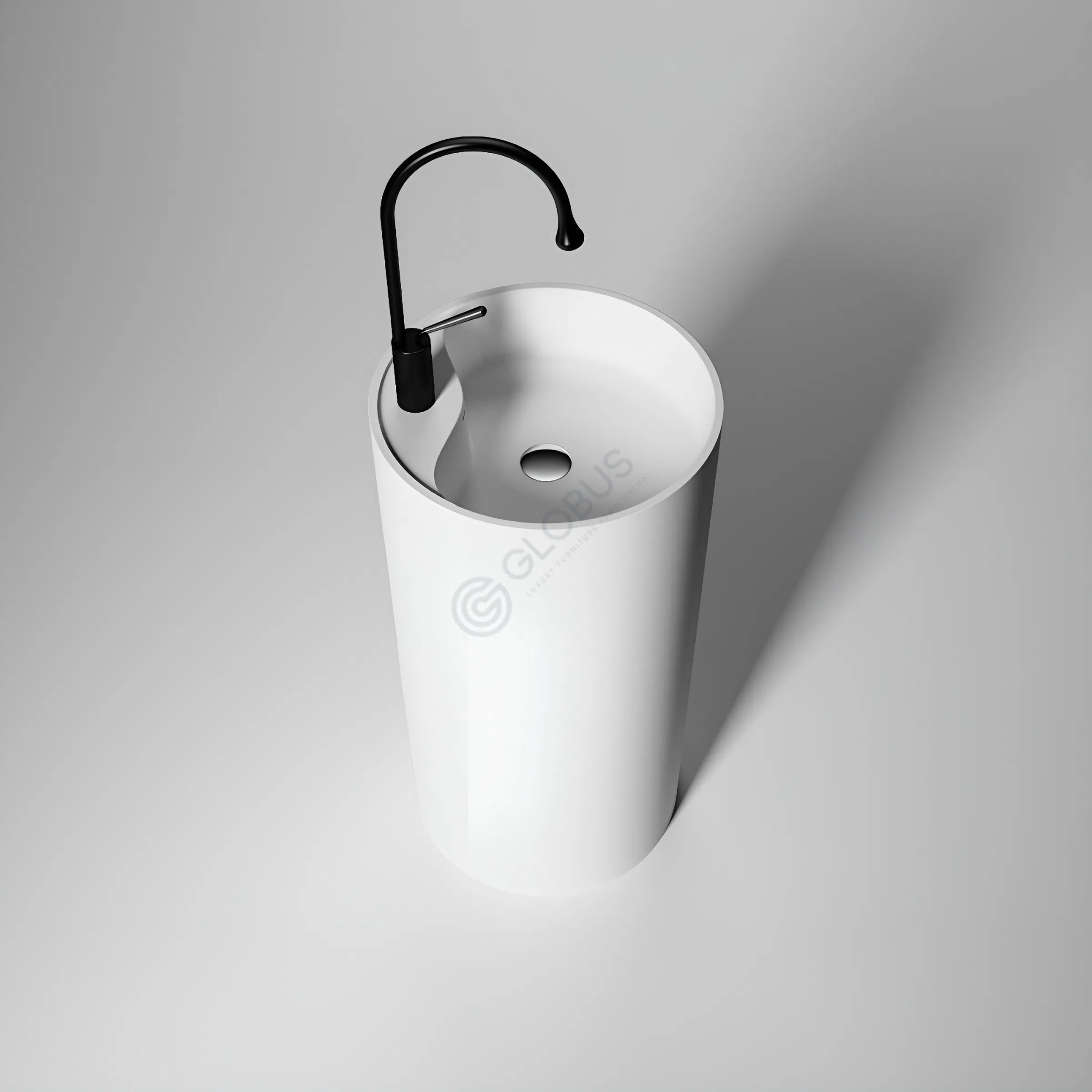 Раковина Janovicus