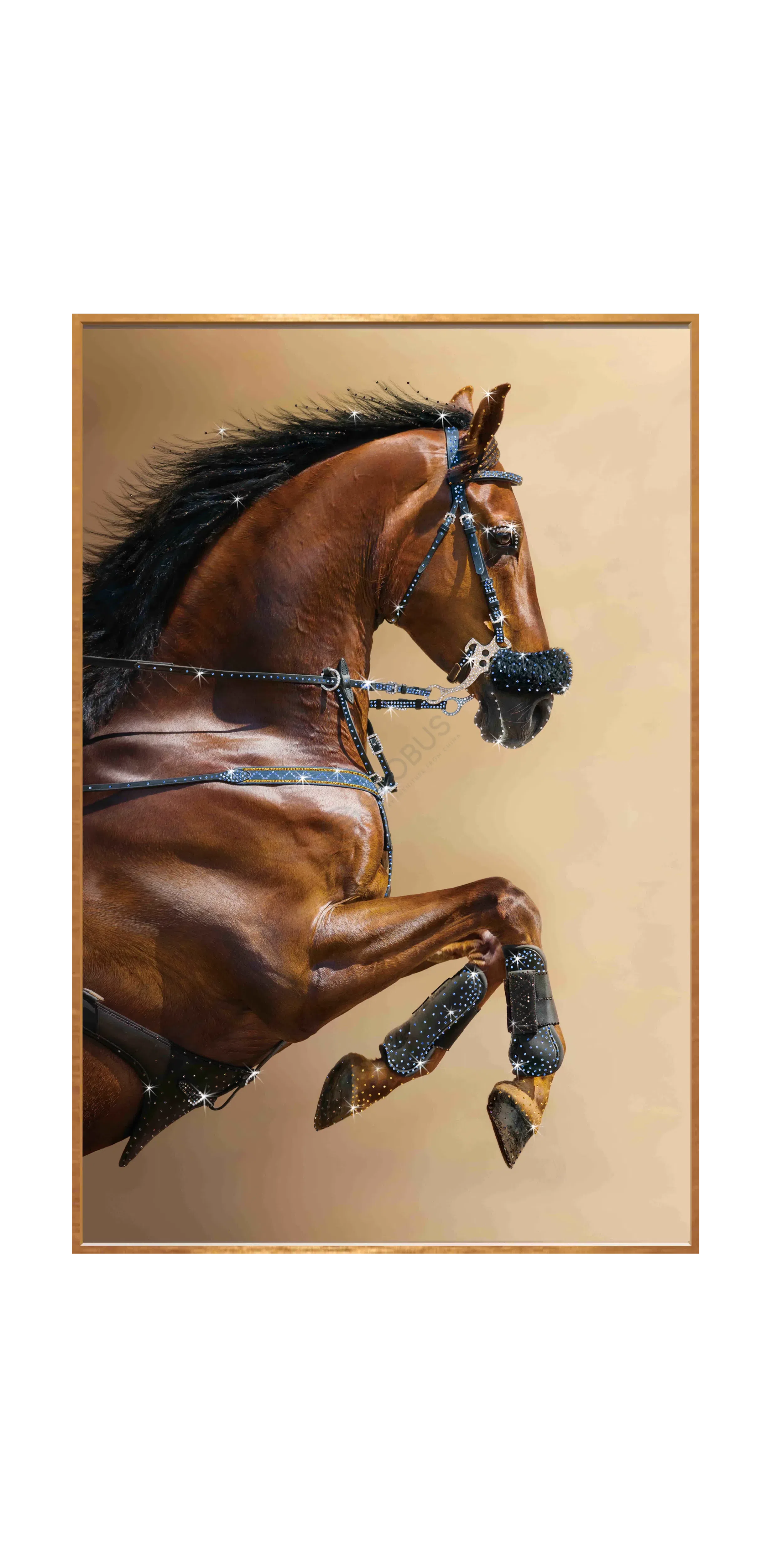 Картина Yfiorella