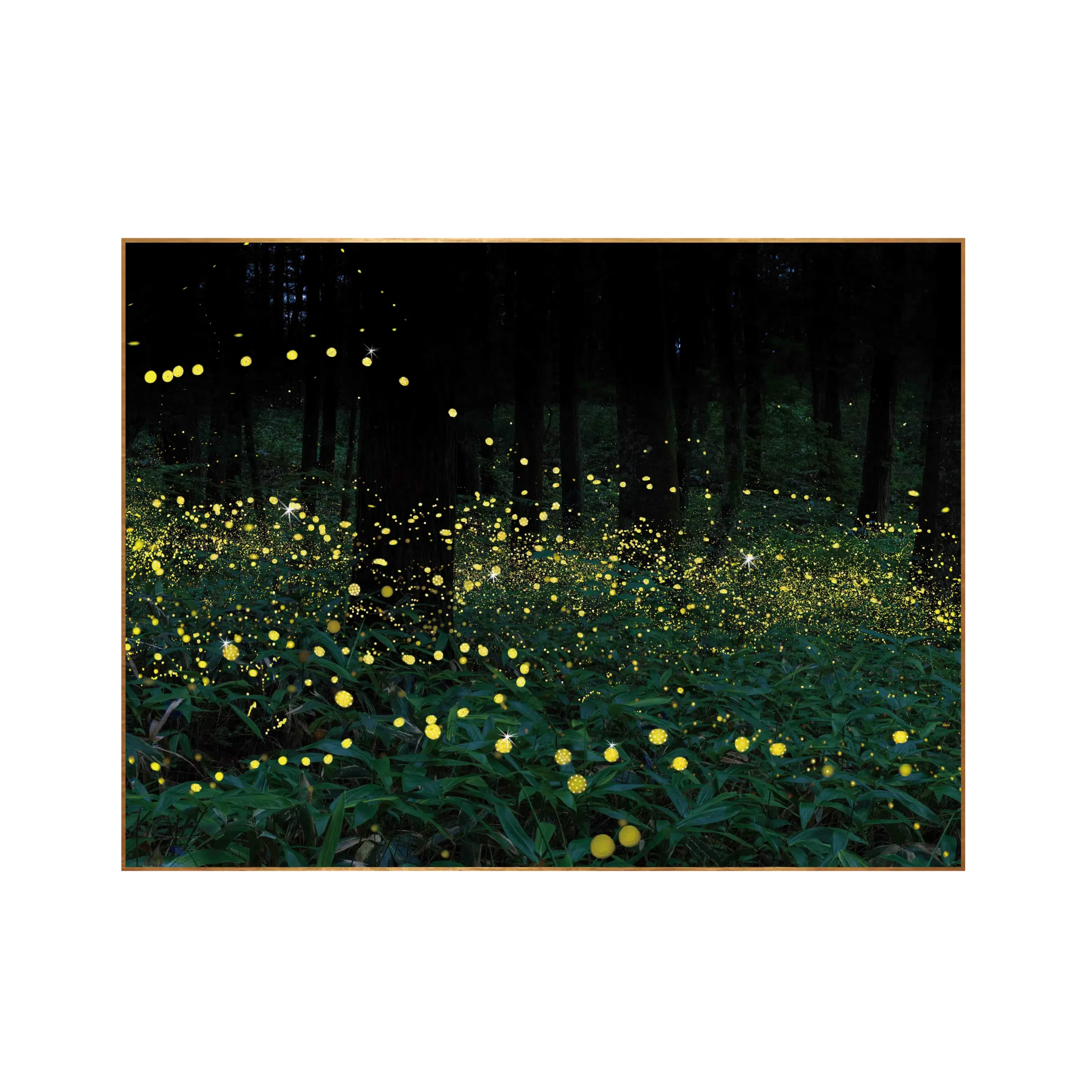 Картина Rosaleta