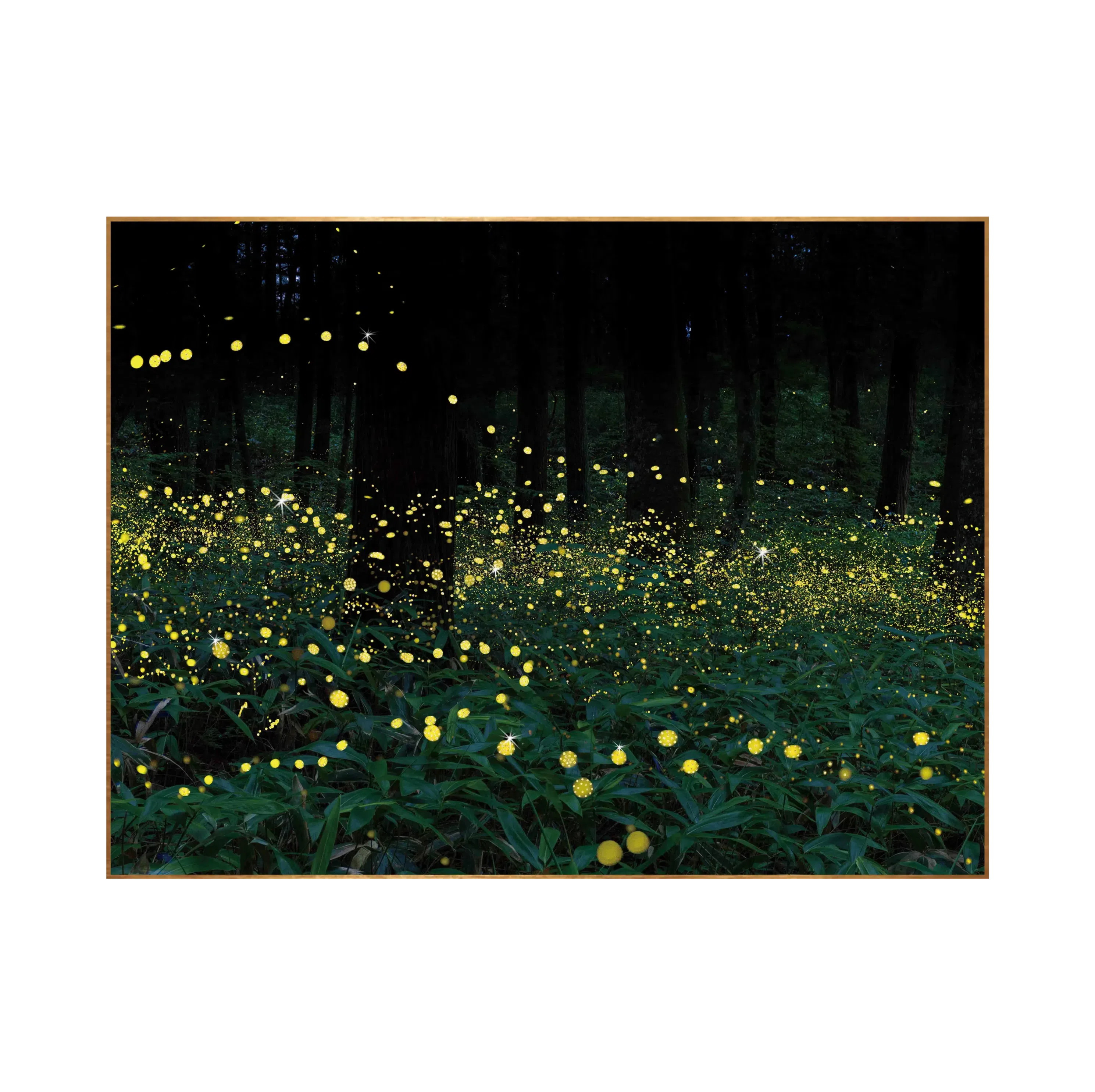 Картина Rosaleta