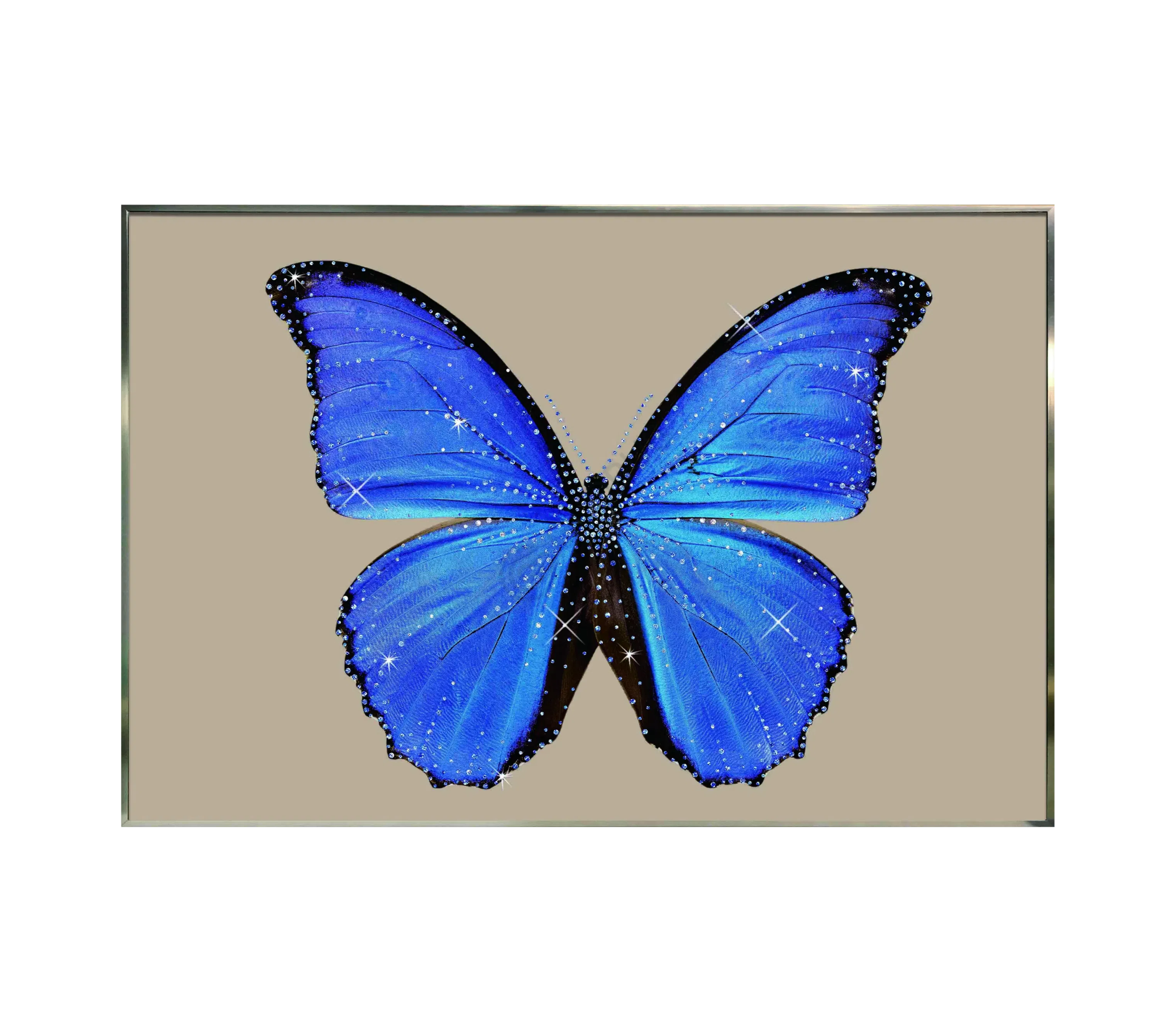 Картина VISIONNAIRE Farfalla