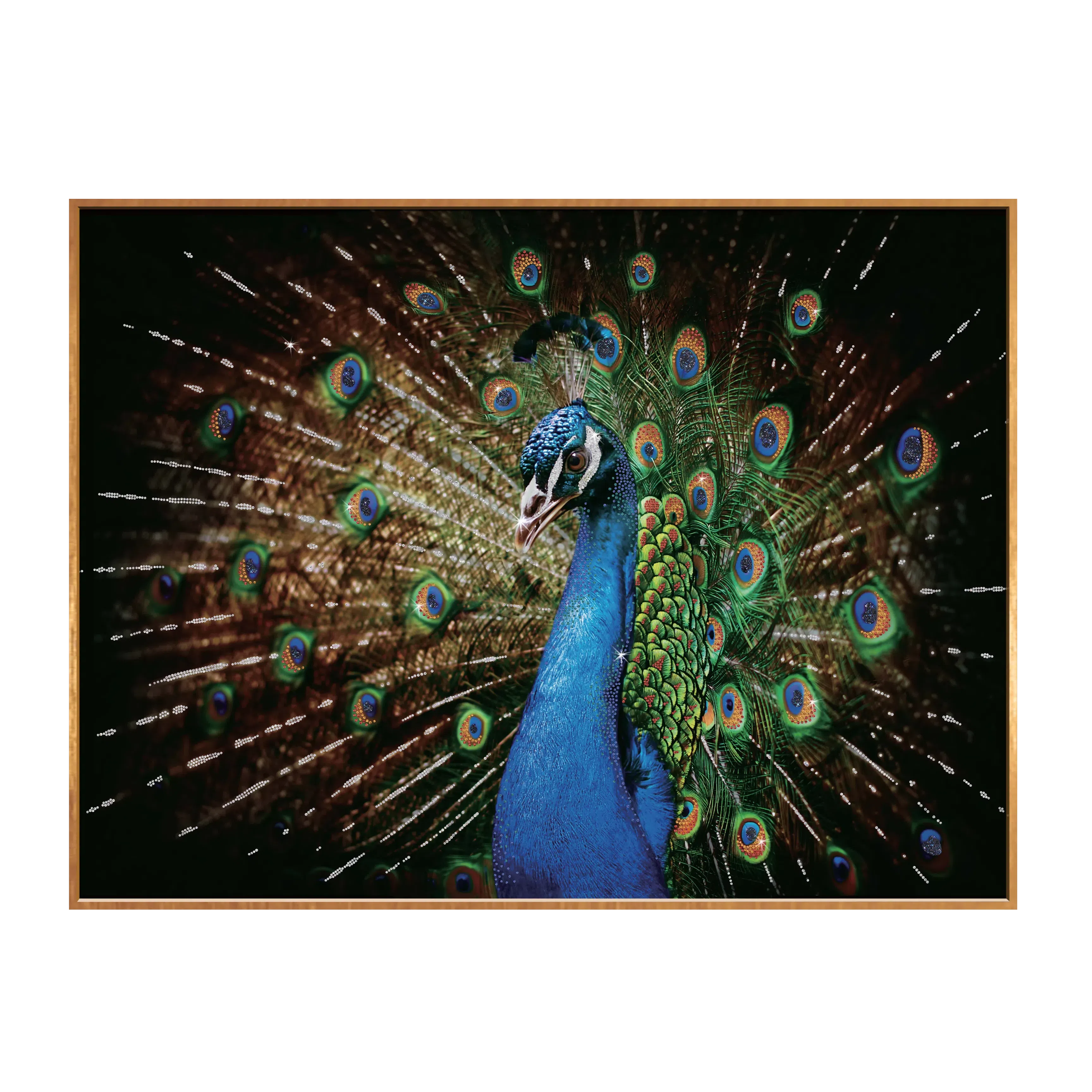 Картина VISIONNAIRE Peacock