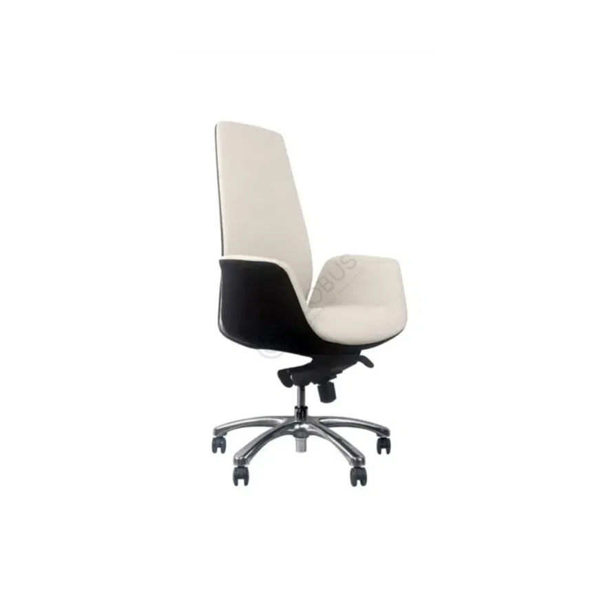 Кресло для офиса Lysanthia