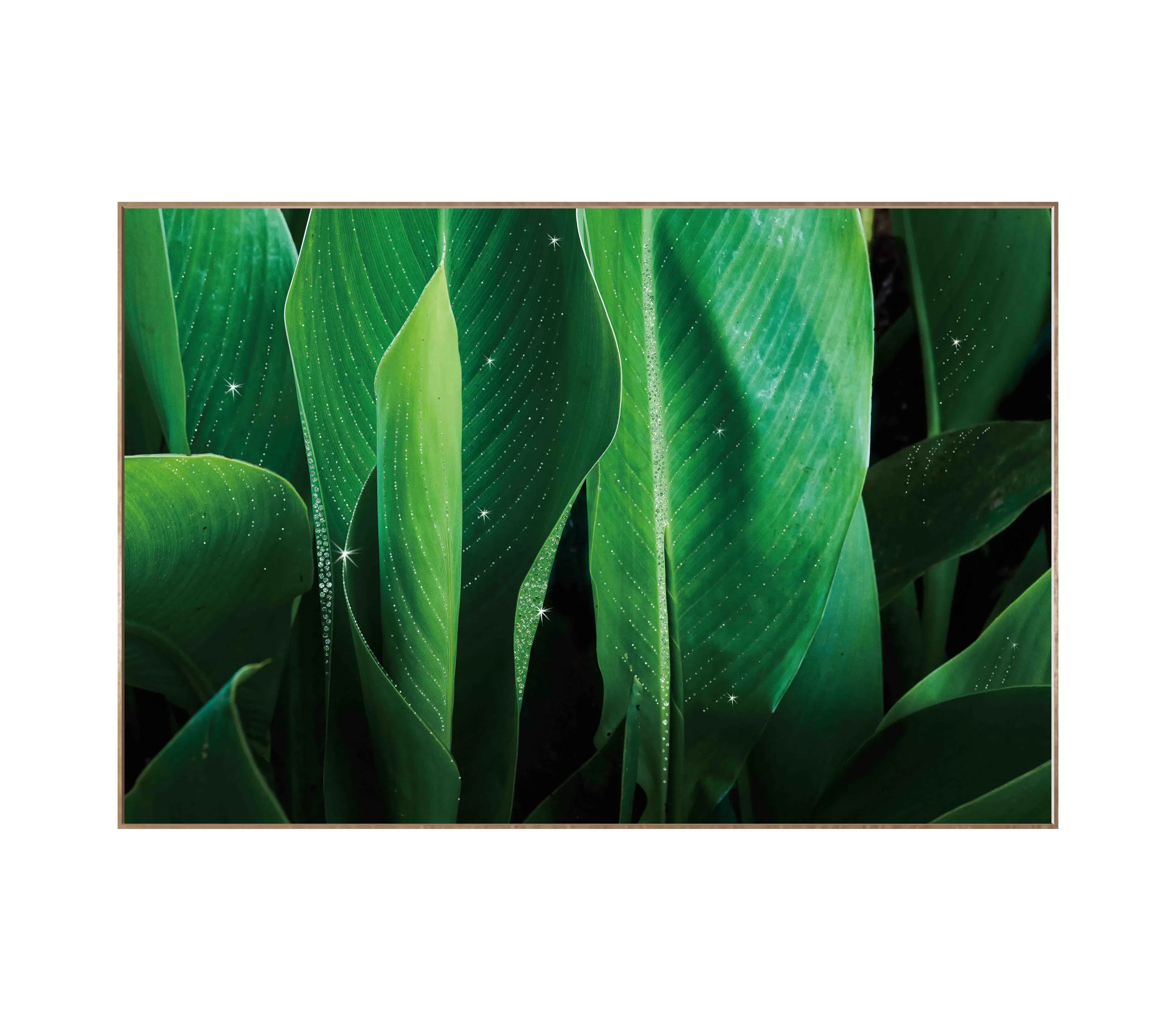 Картина Erudito