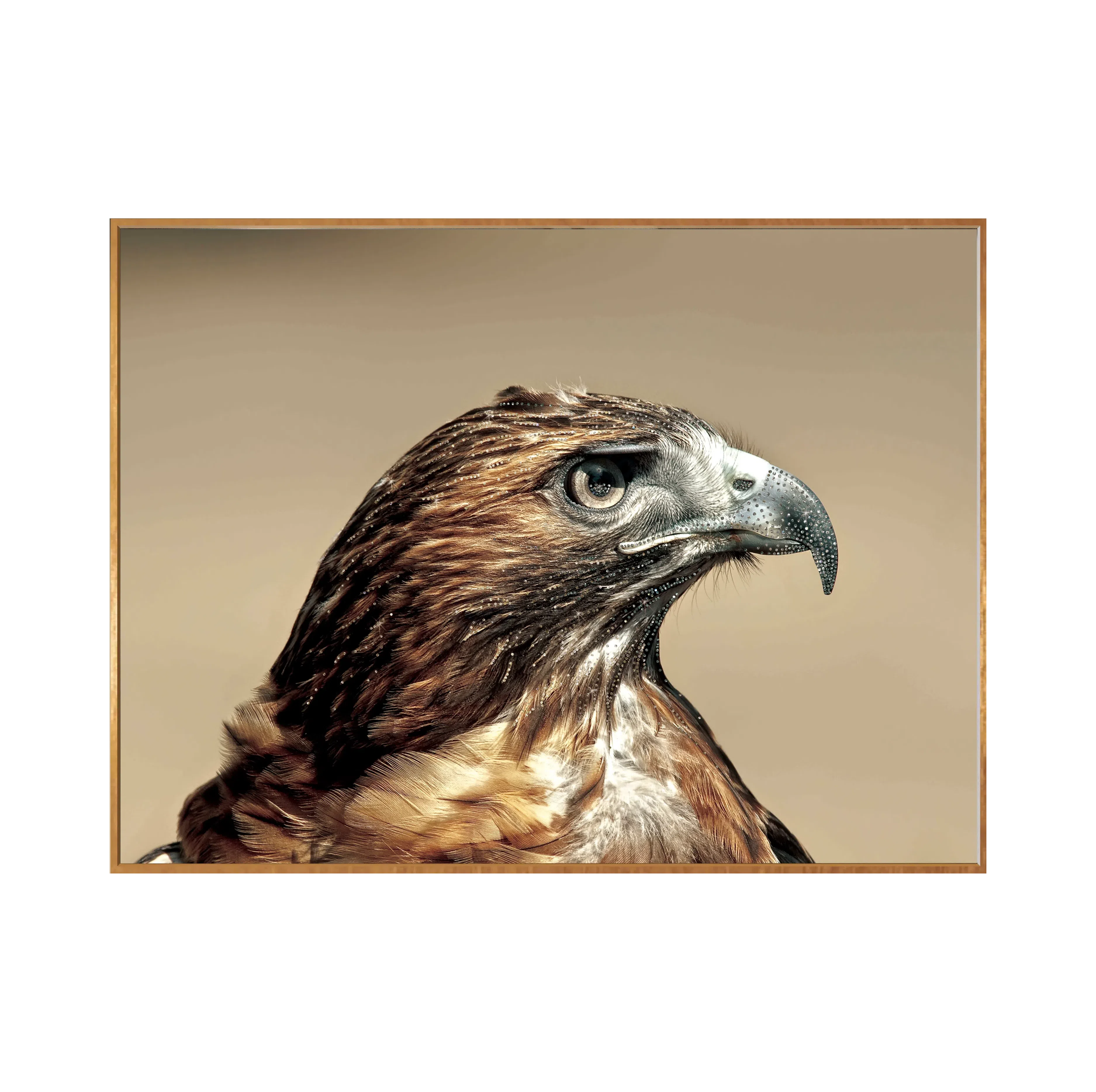 Картина Maritus