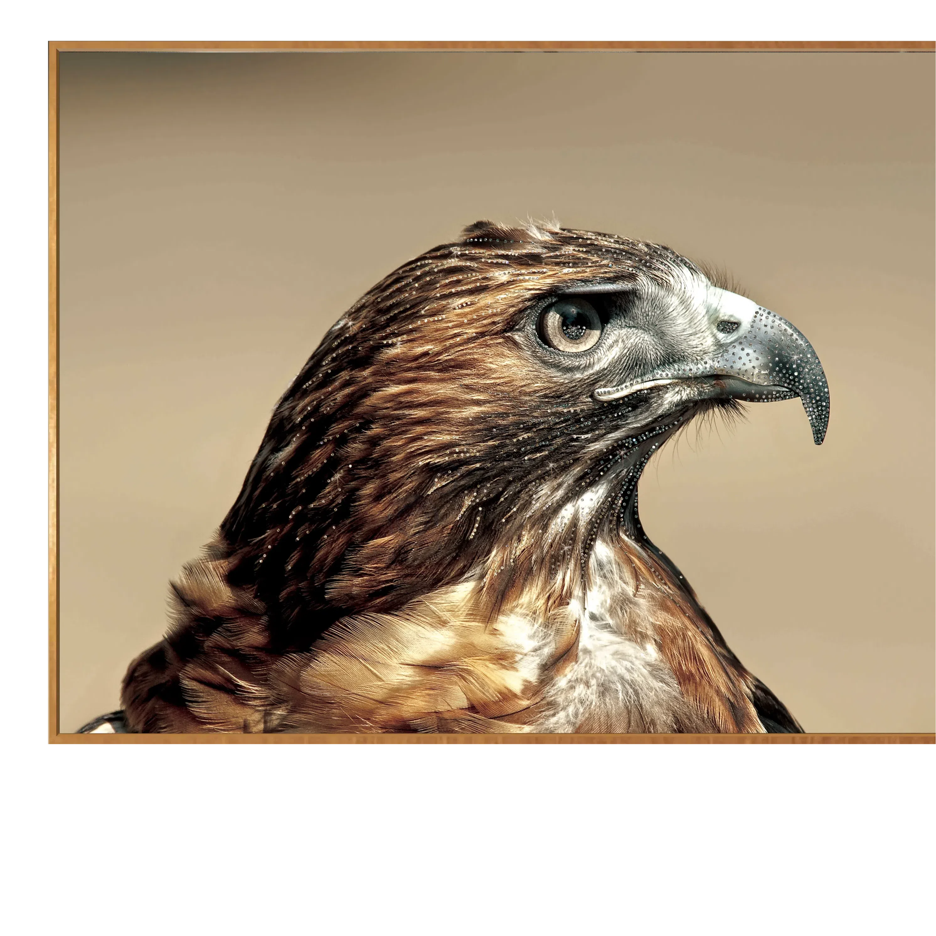 Картина Maritus