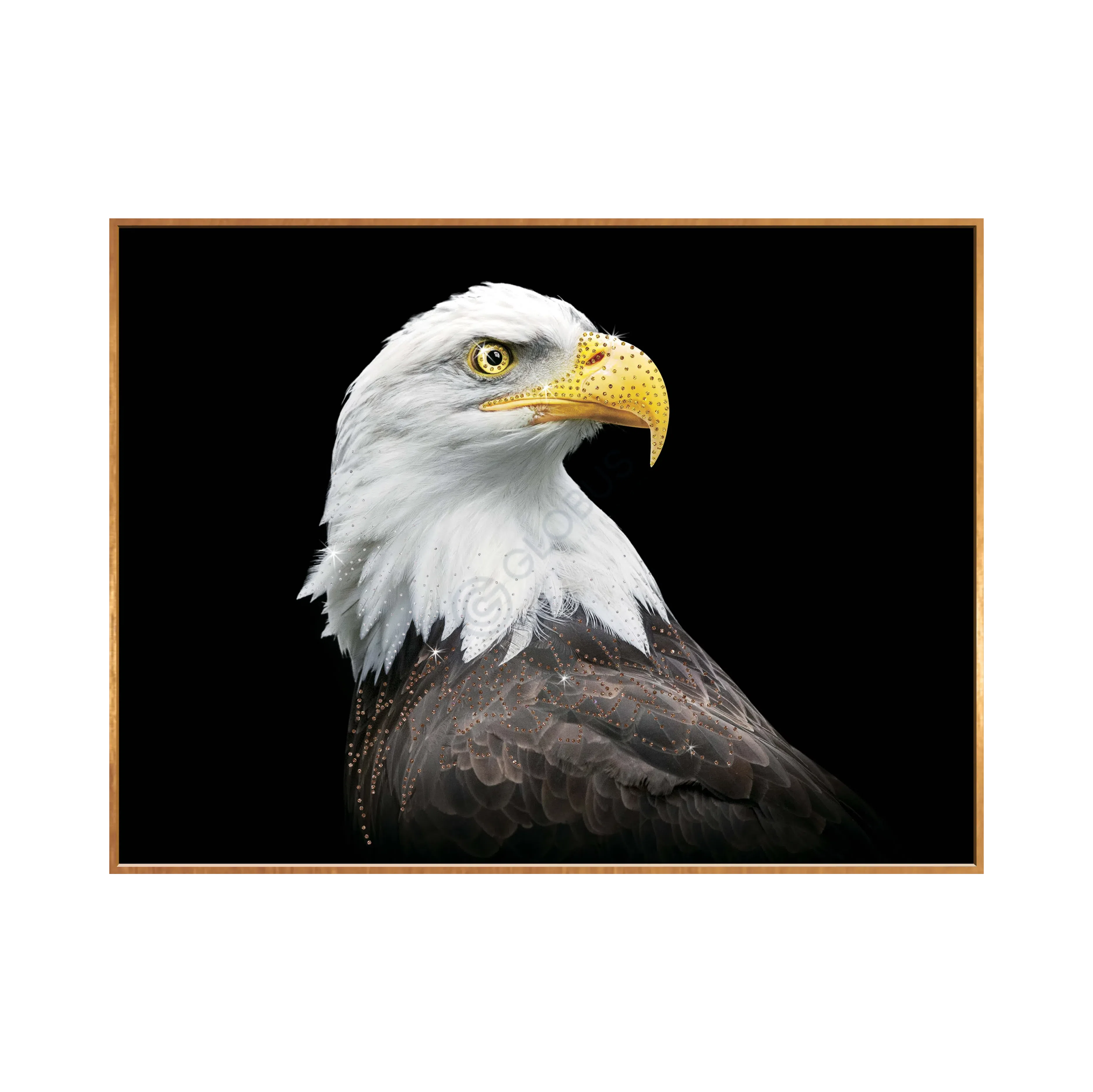 Картина Bellafrice