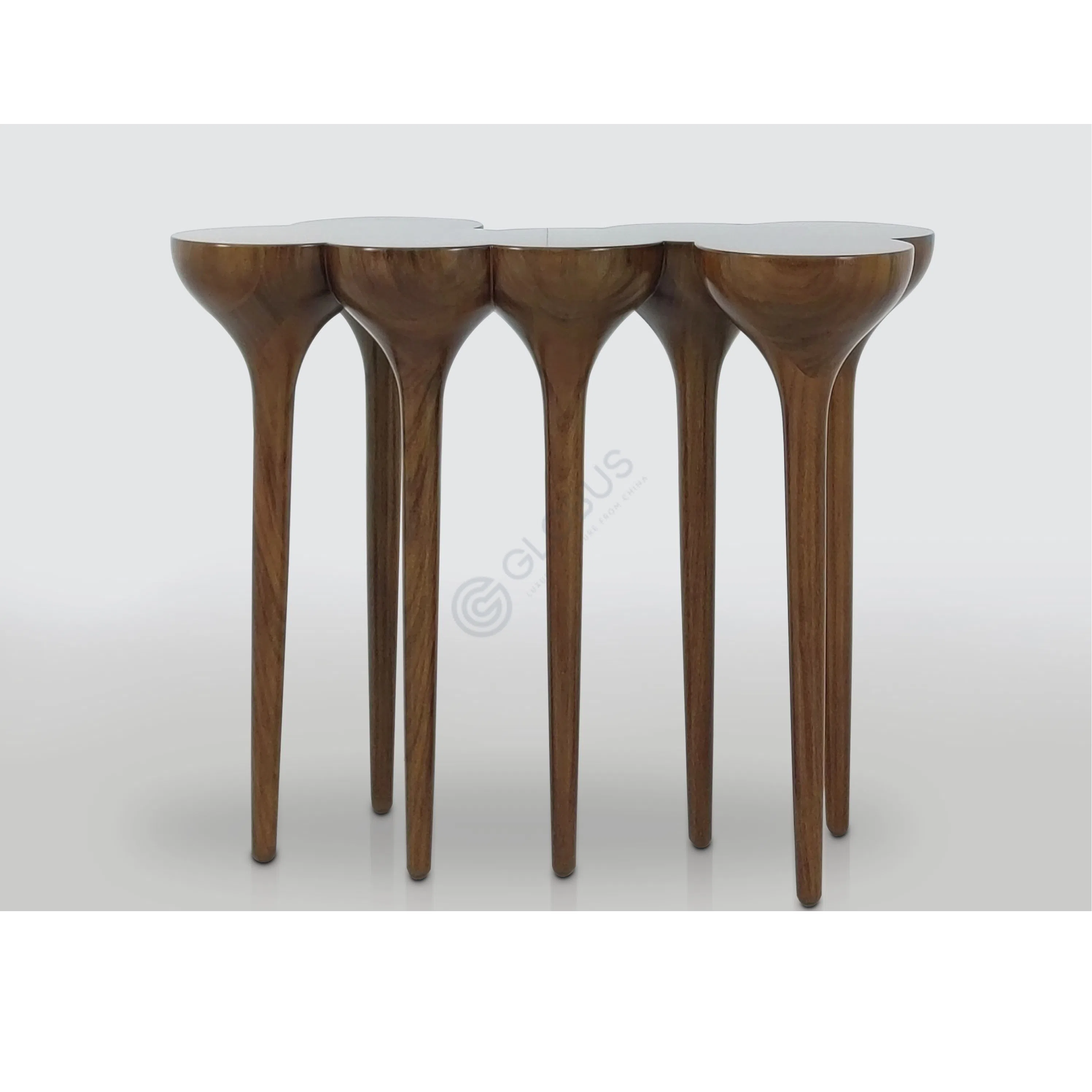 Консоль AGRIPPA Esgrimas