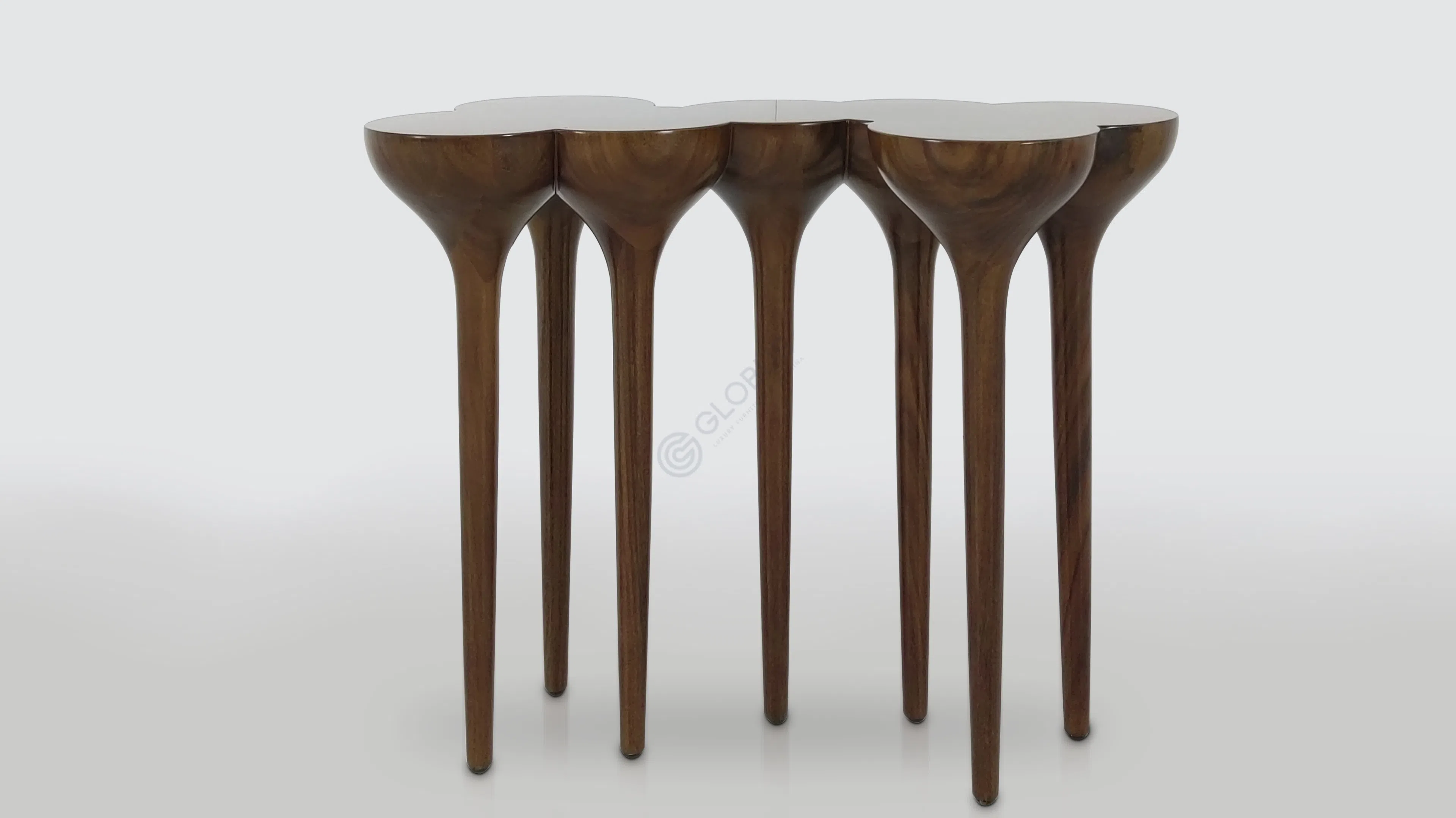 Консоль AGRIPPA Esgrimas