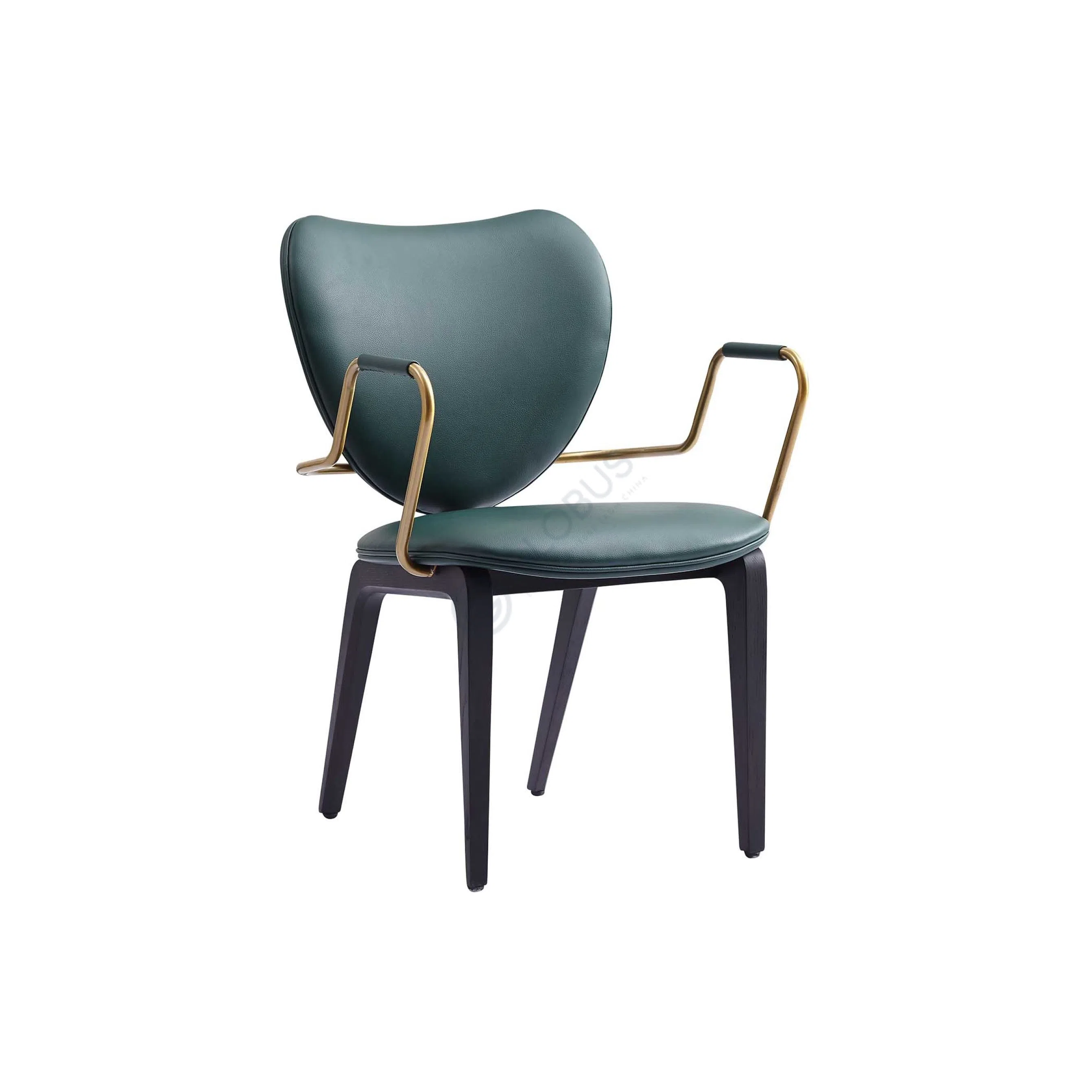 Обеденный стул Aracely