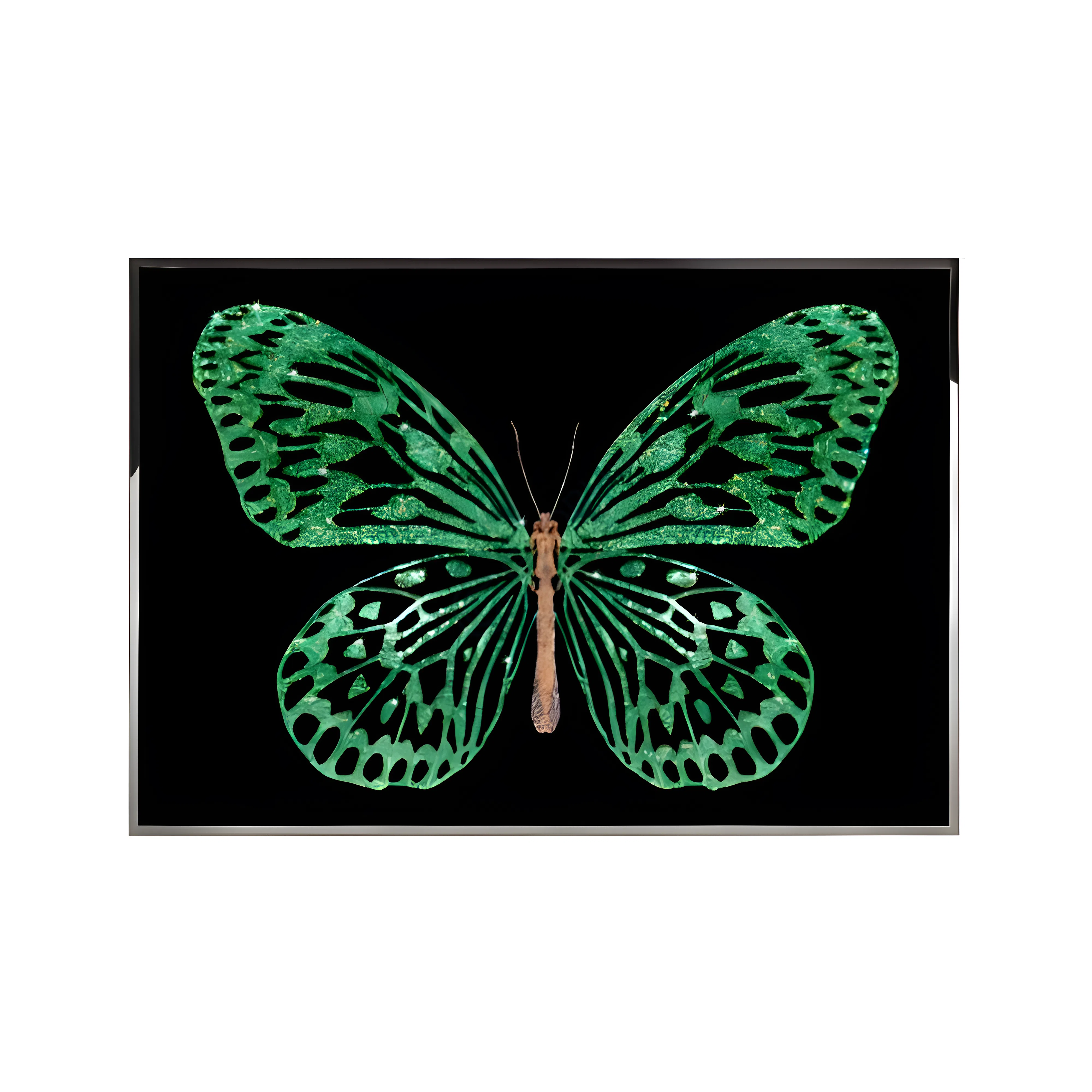Картина VISIONNAIRE Green Butterfly
