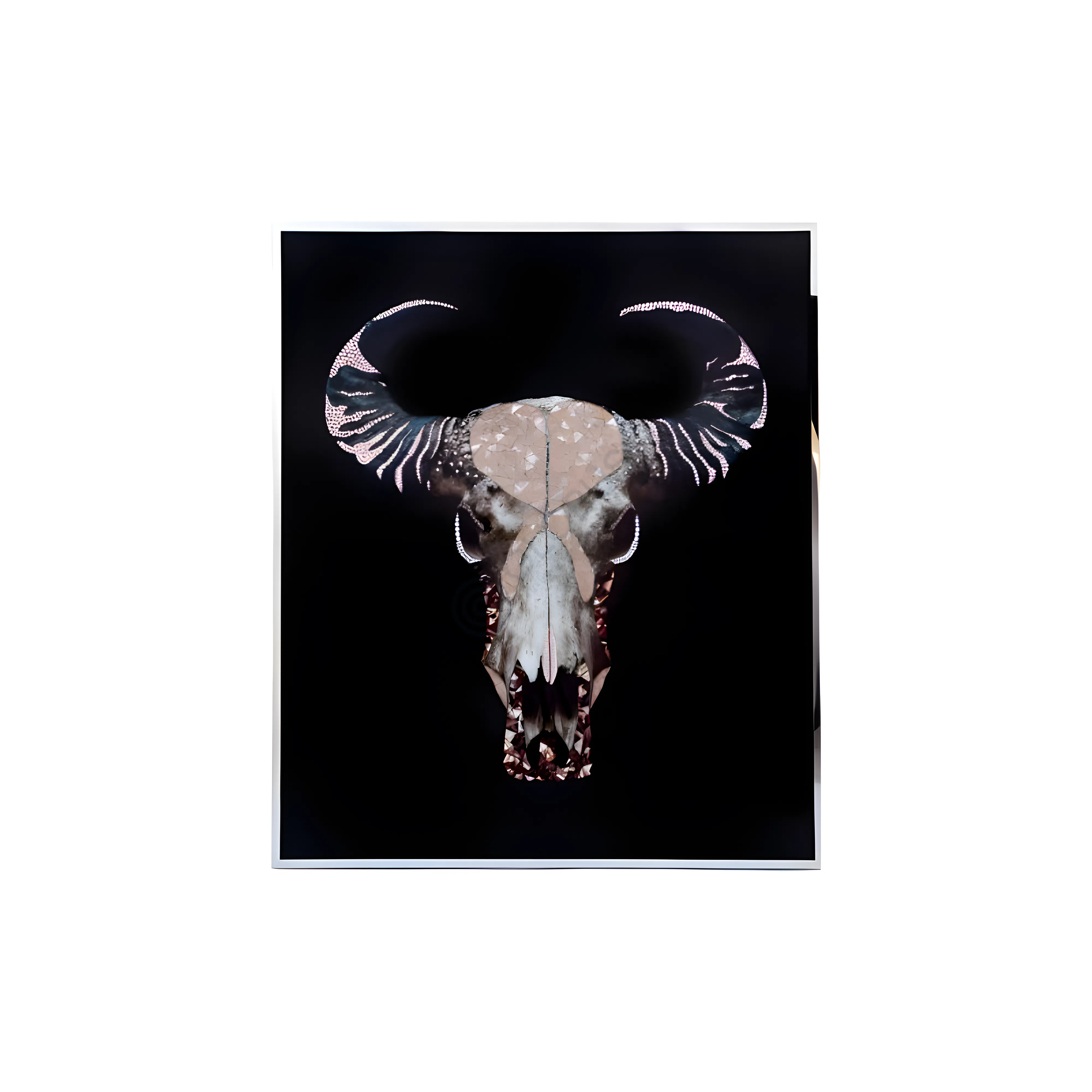 Картина VISIONNAIRE Trofeo Bufalo