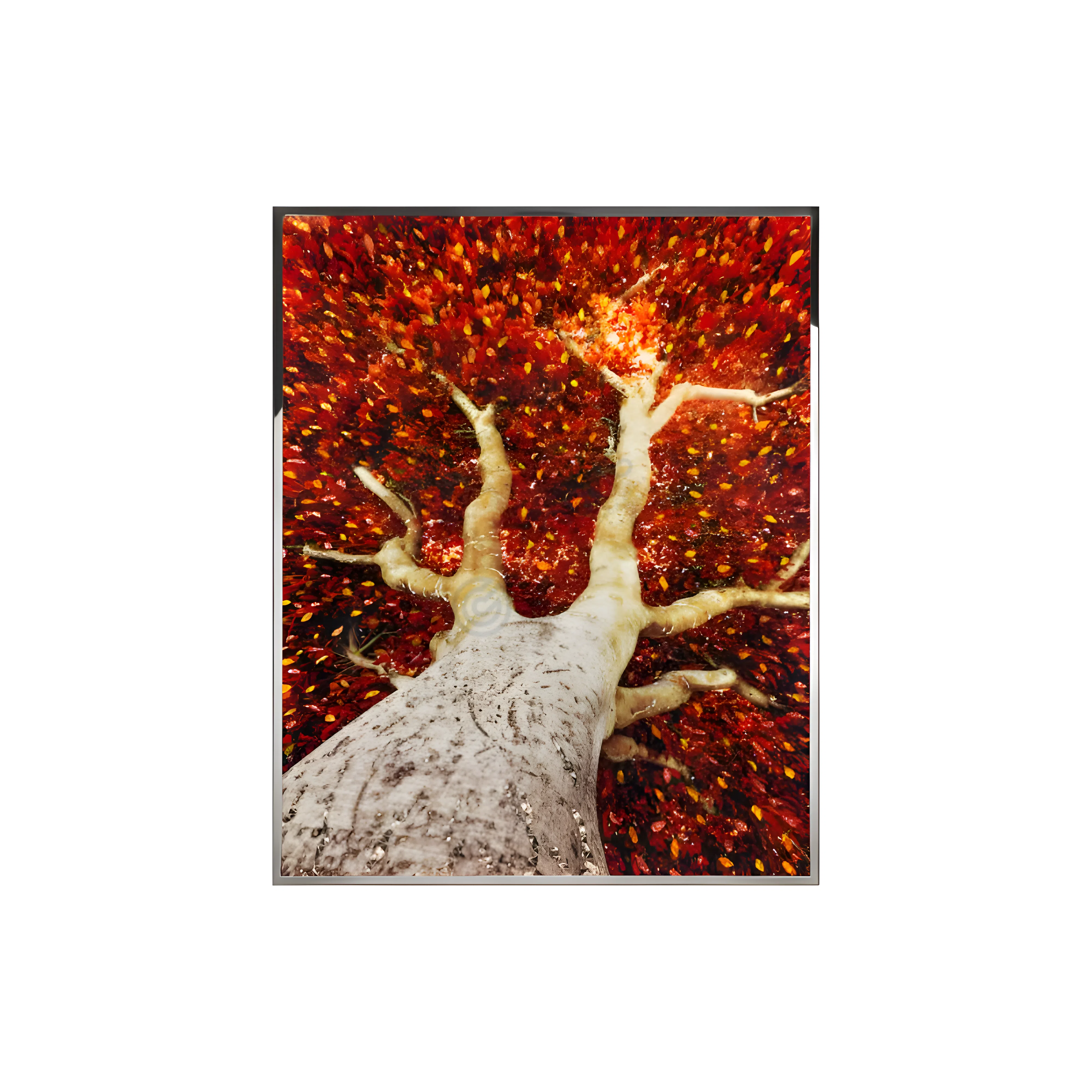 Картина VISIONNAIRE Albero