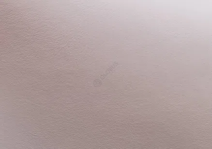 Обеденный стул BAXTER Dolly