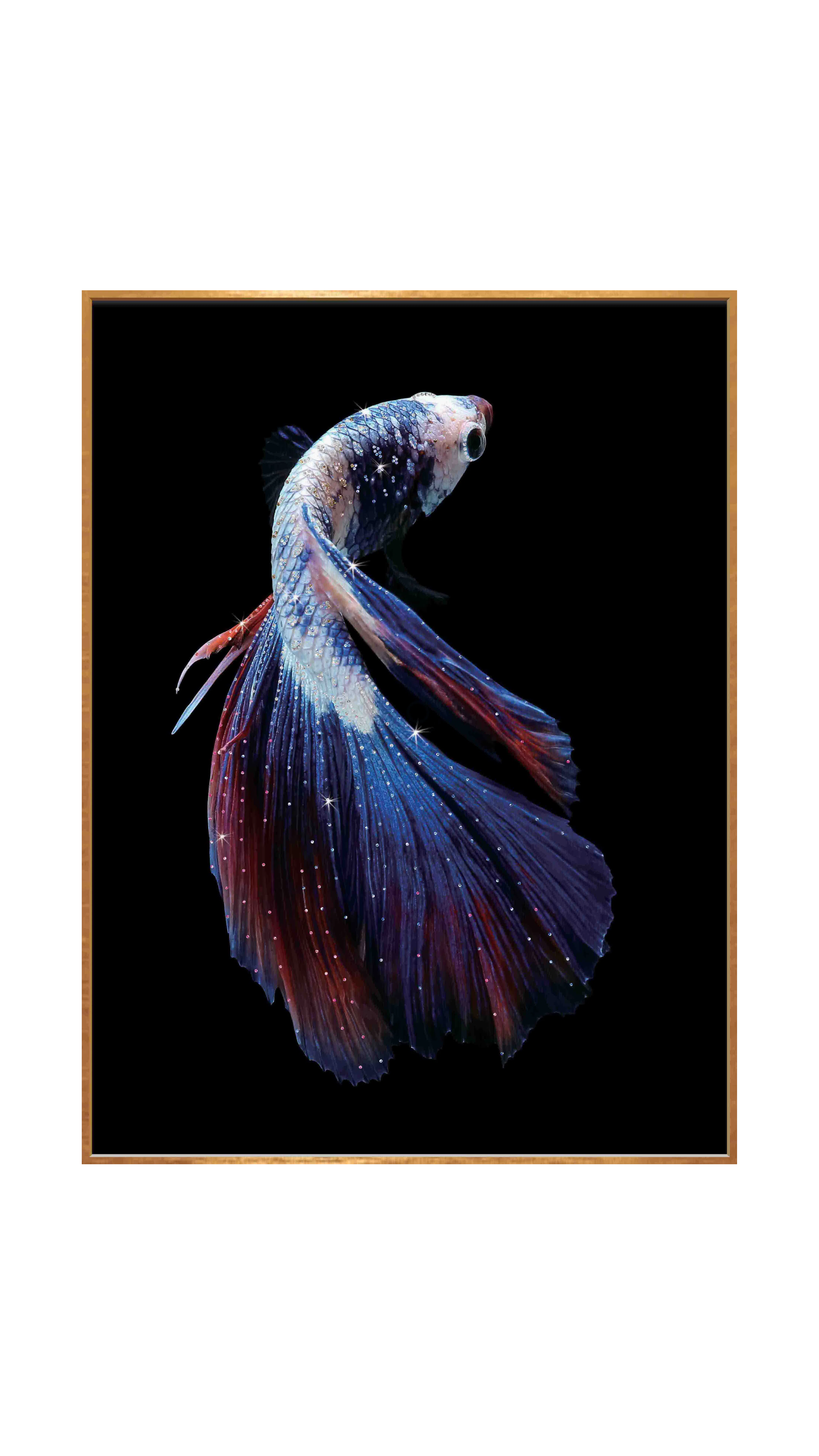 Картина Vivaldi