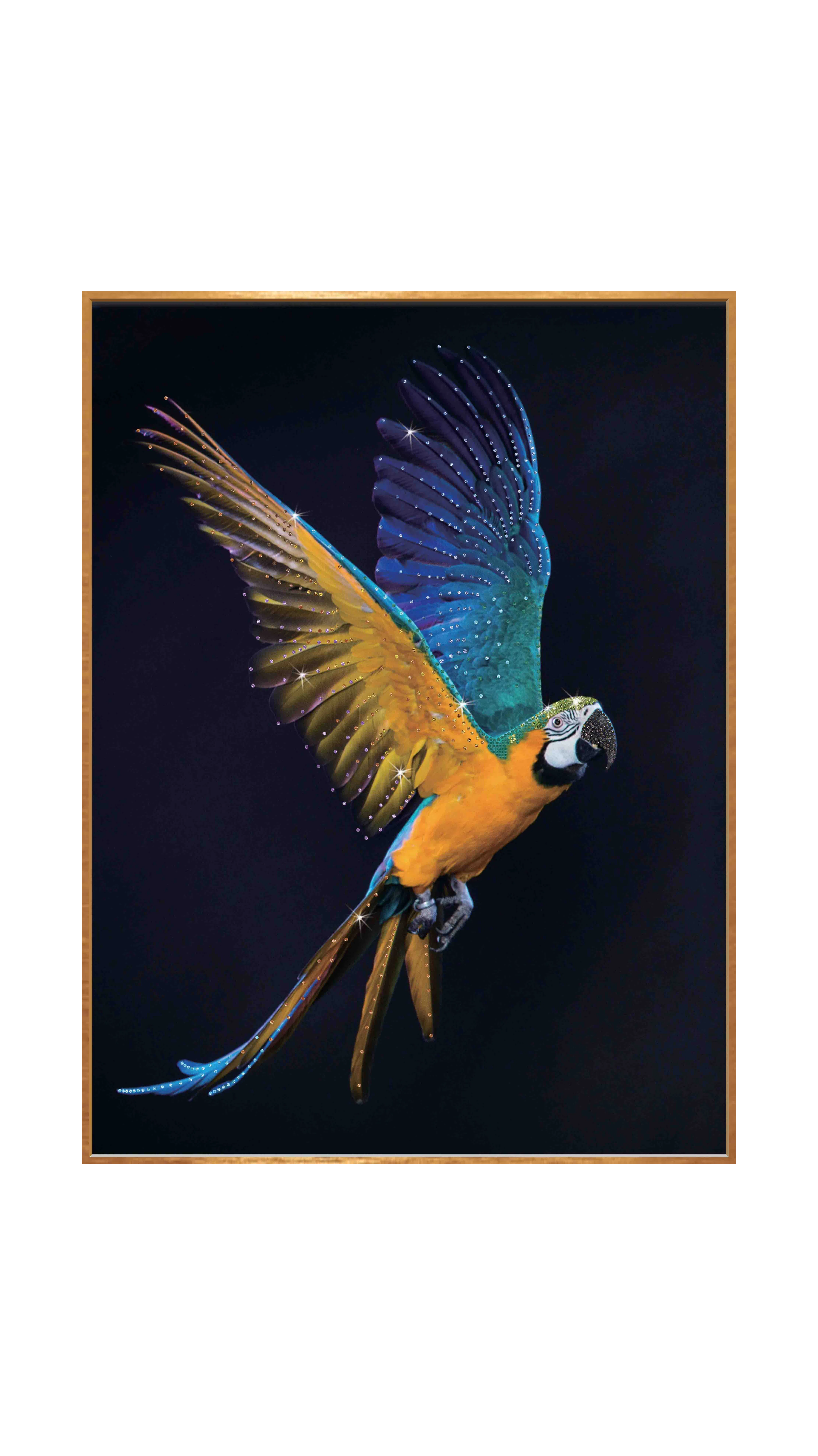 Картина Ligio