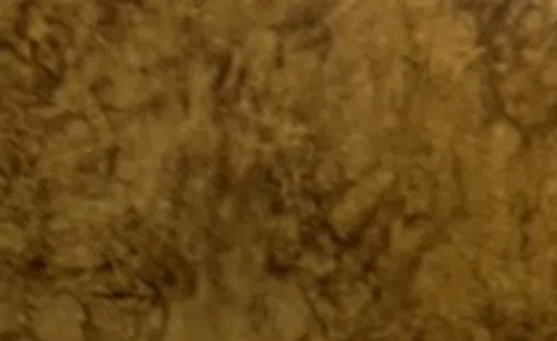 Обеденный стол Garzoni