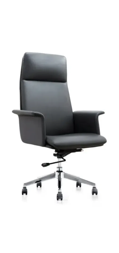 Стул для офиса Ducato