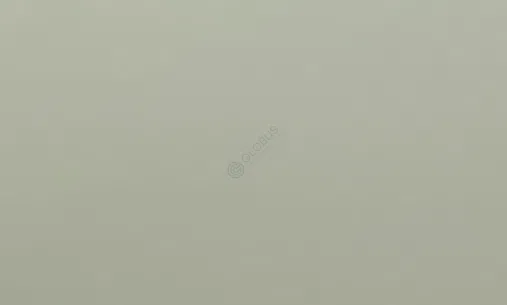 Обеденный стул ASTER Wolfe