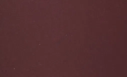 Кресло Saporus