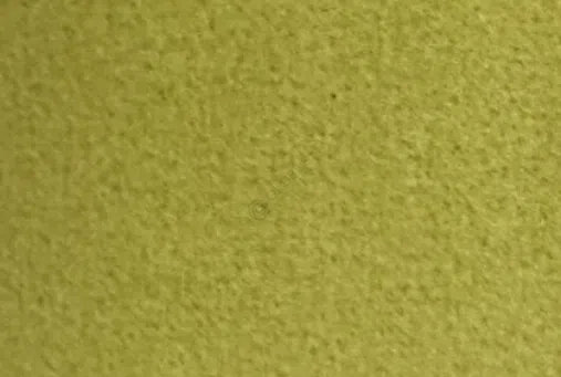 Кресло VISIONNAIRE Sontag