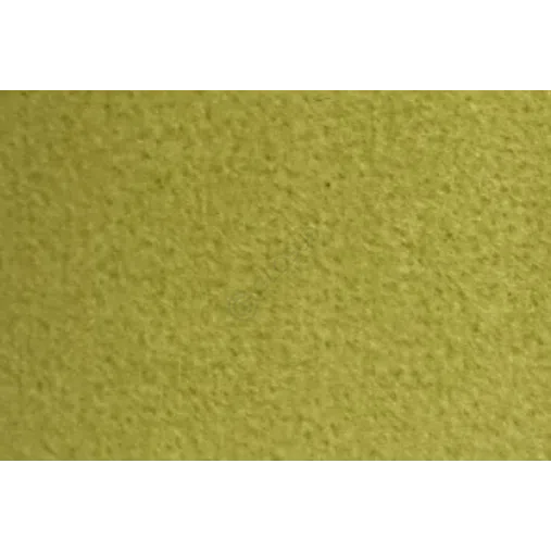 Кресло VISIONNAIRE Sontag