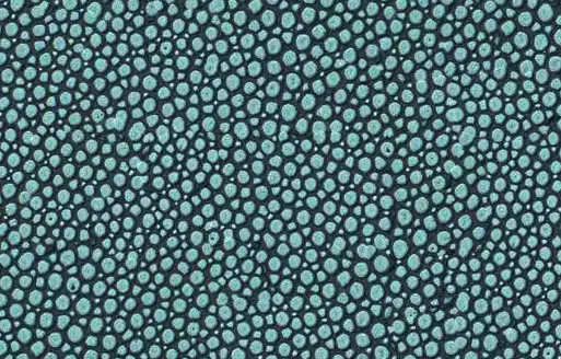 Винный шкаф ZANABONI Rendez-Vous