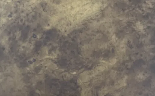 Угловой столик GALLOTTI&RADICE Monete