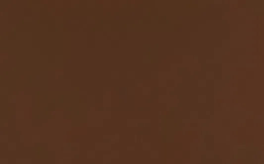 Обеденный стул ASTER Wolfe