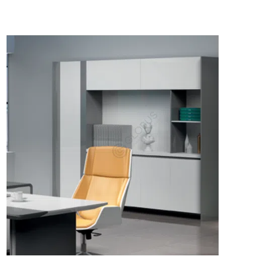 Архивный шкаф для офиса Quiza